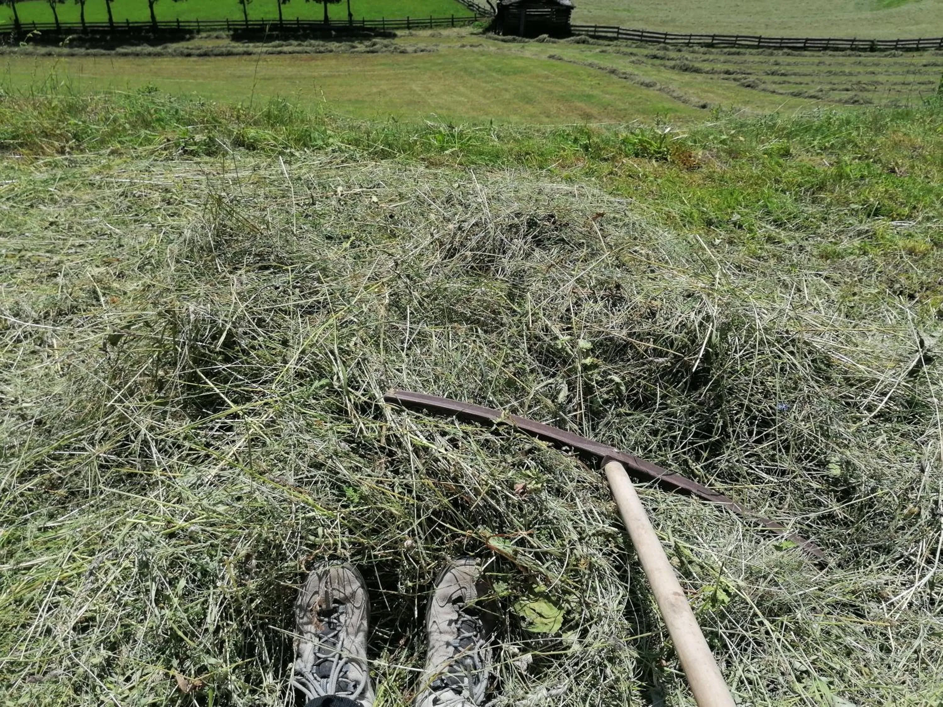 Summer in Ferienhaus Innerkienzerhof - Urlaub am Bauernhof