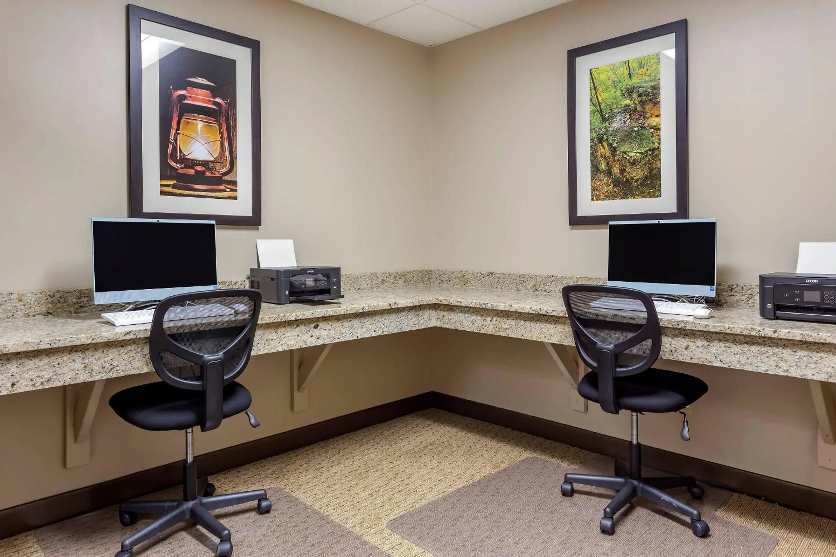 Business facilities in Comfort Inn & Suites Rochelle - DeKalb