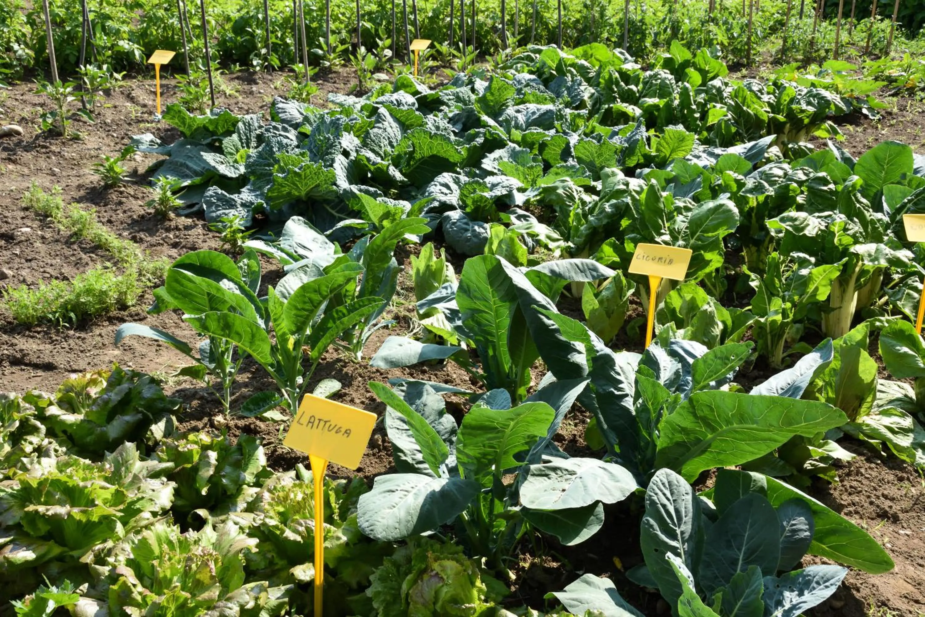 Garden in Agriturismo Il Colle