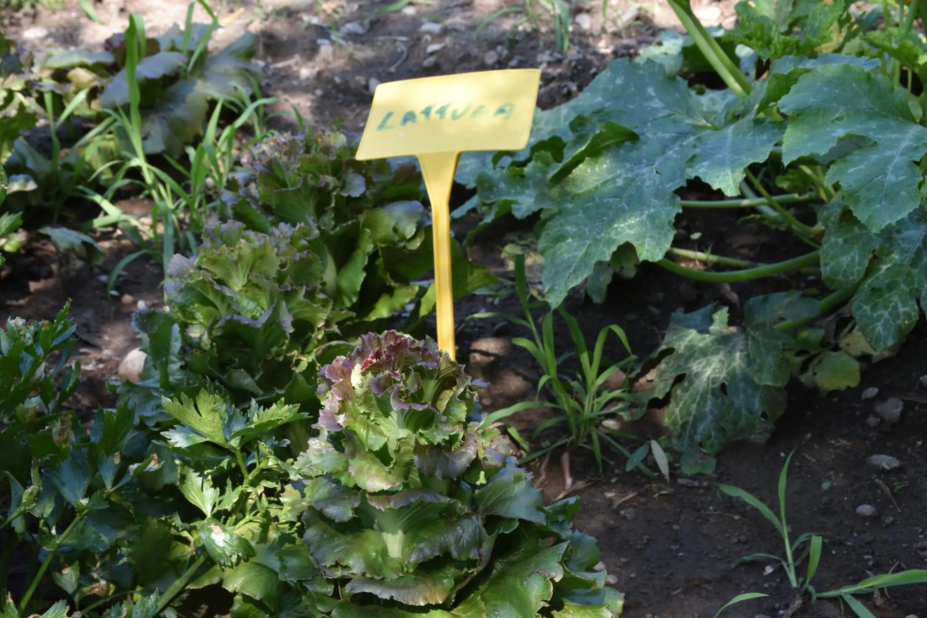 Agriturismo Il Colle