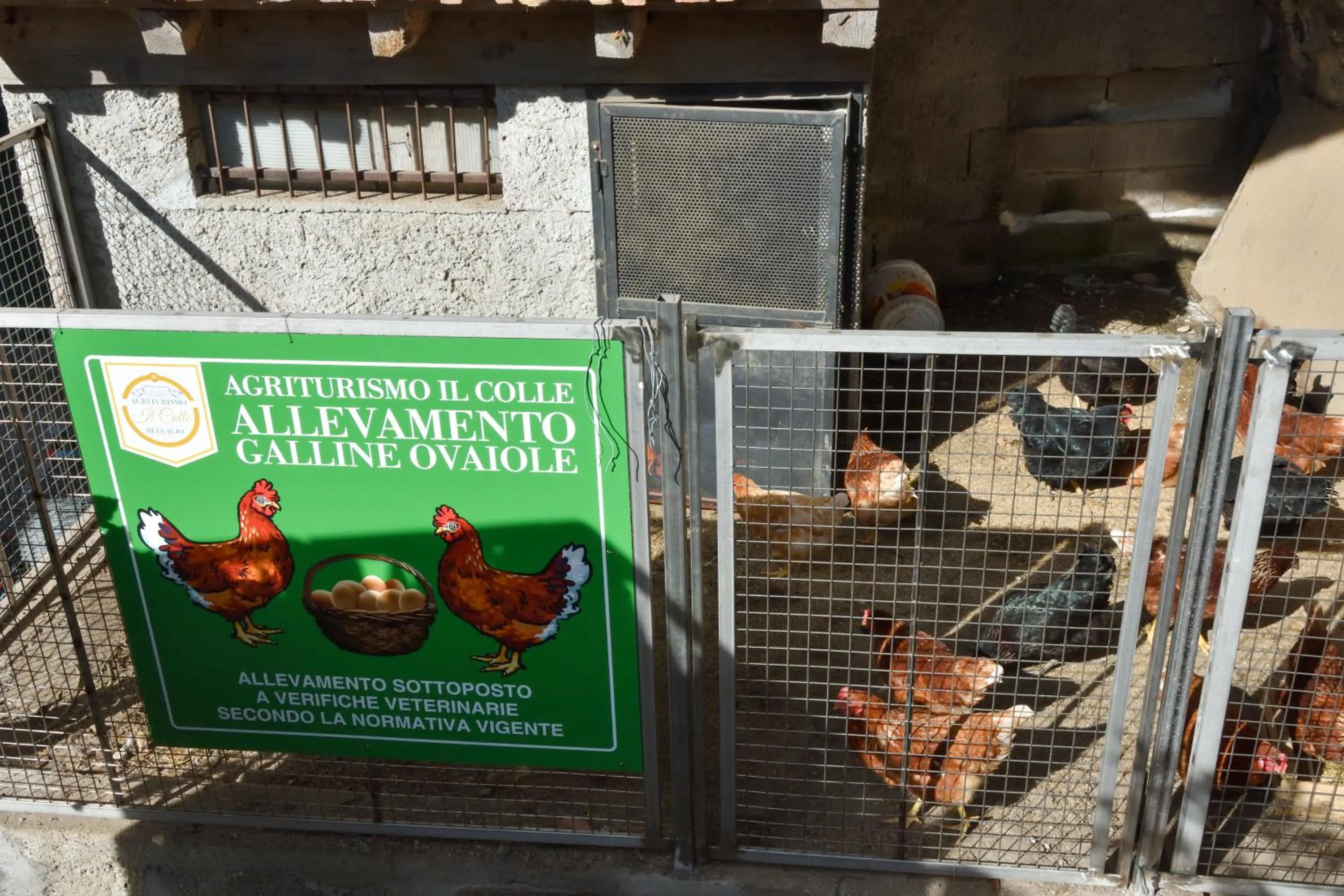 Animals in Agriturismo Il Colle