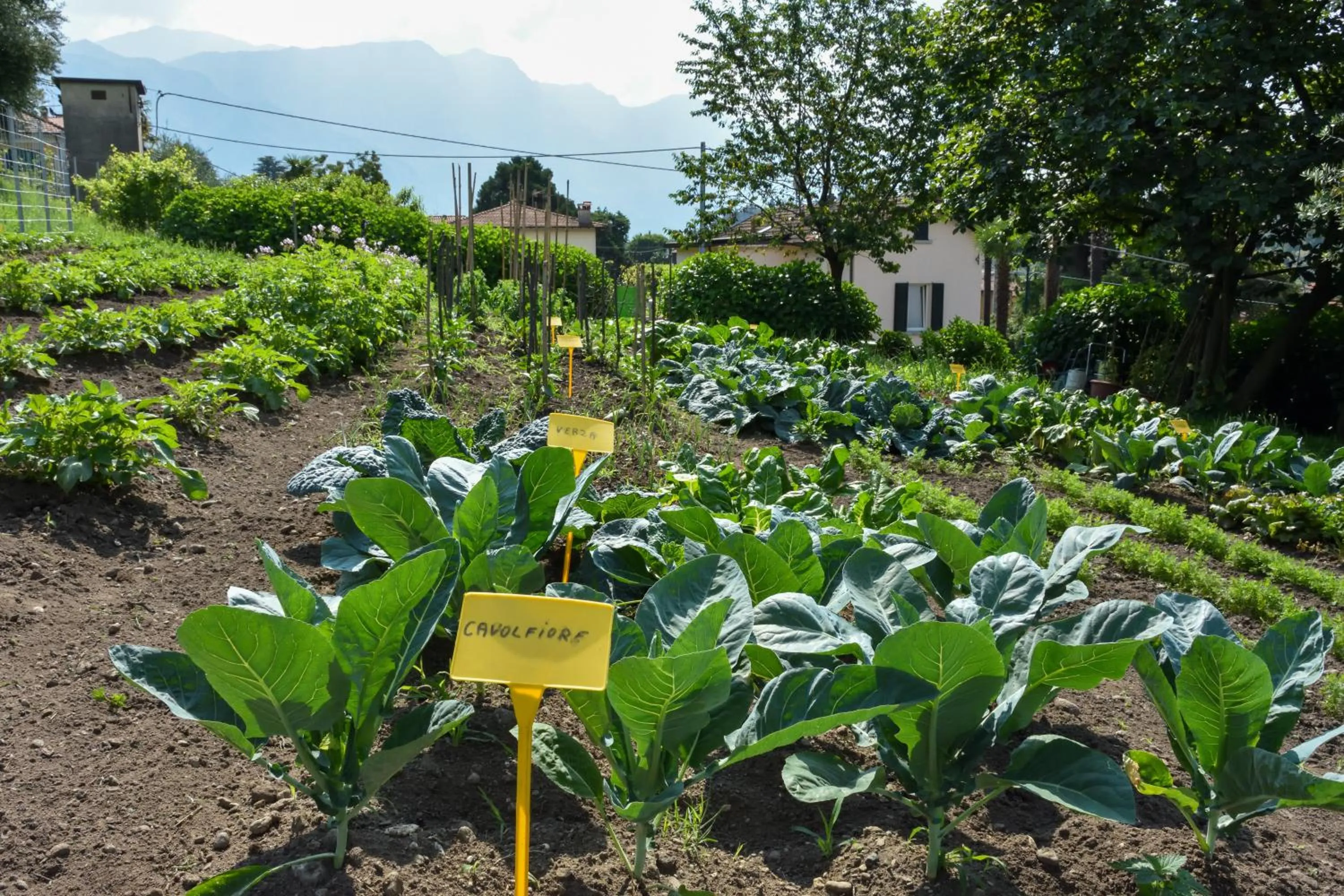 Garden in Agriturismo Il Colle