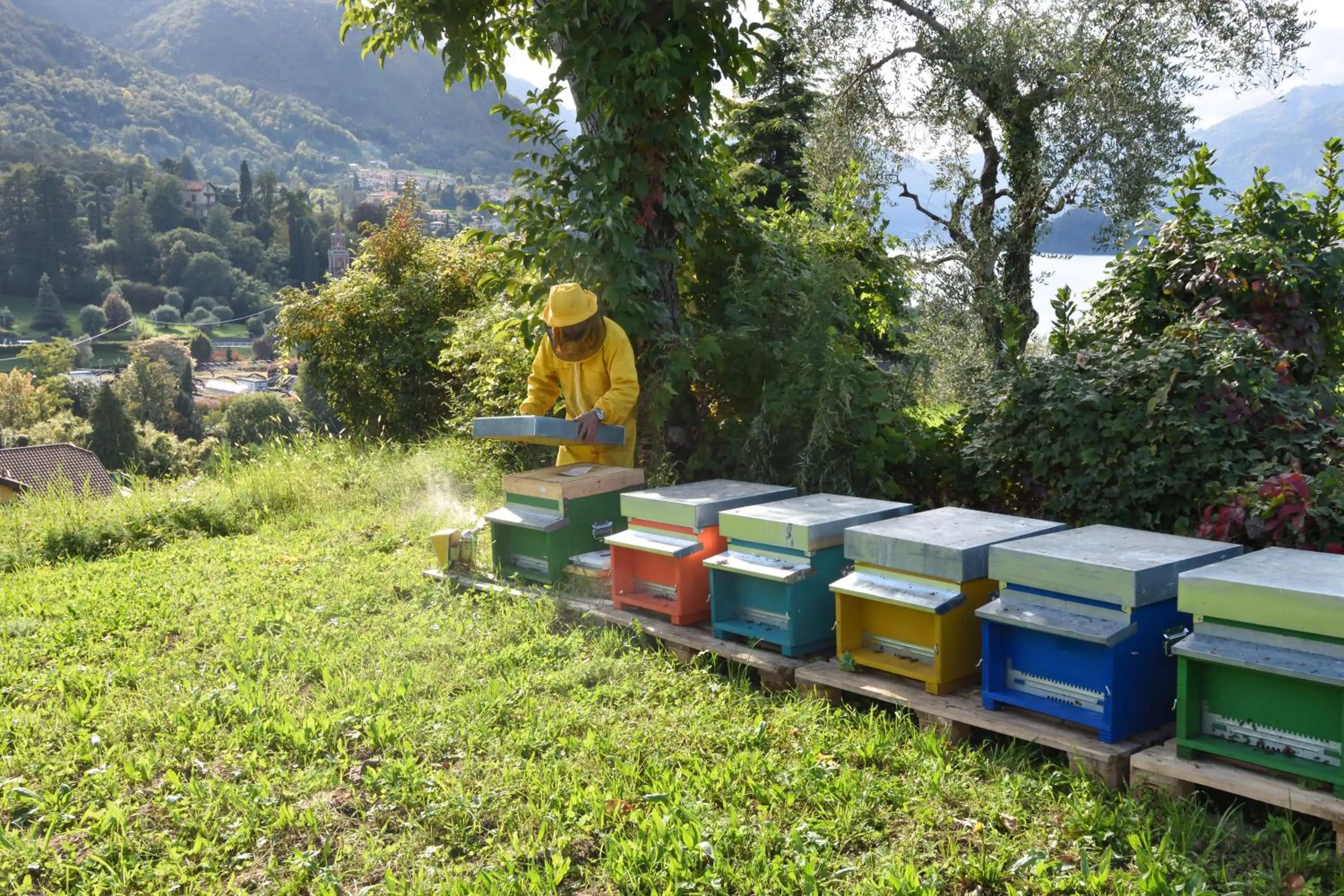 Garden in Agriturismo Il Colle