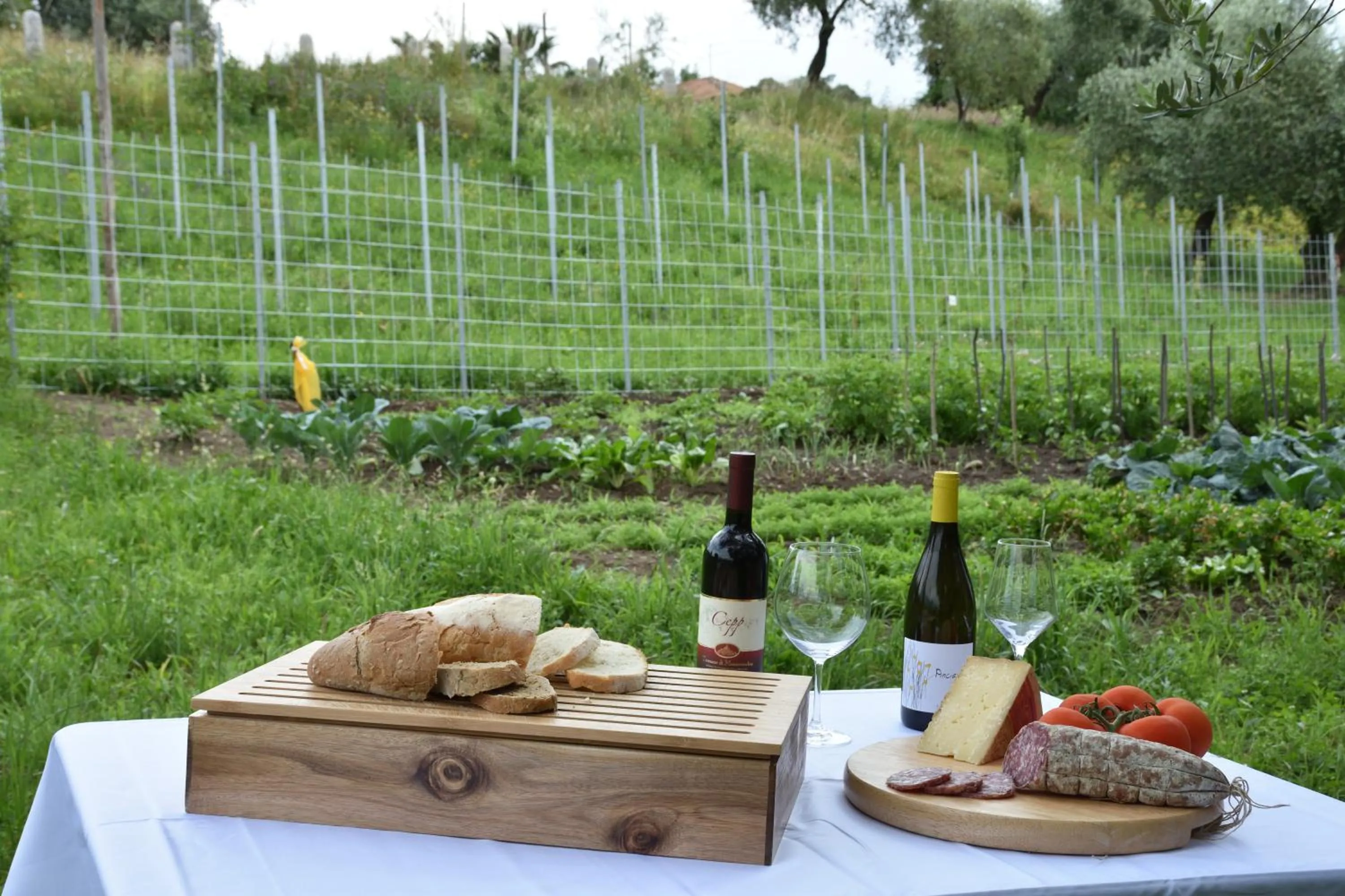 Food and drinks in Agriturismo Il Colle