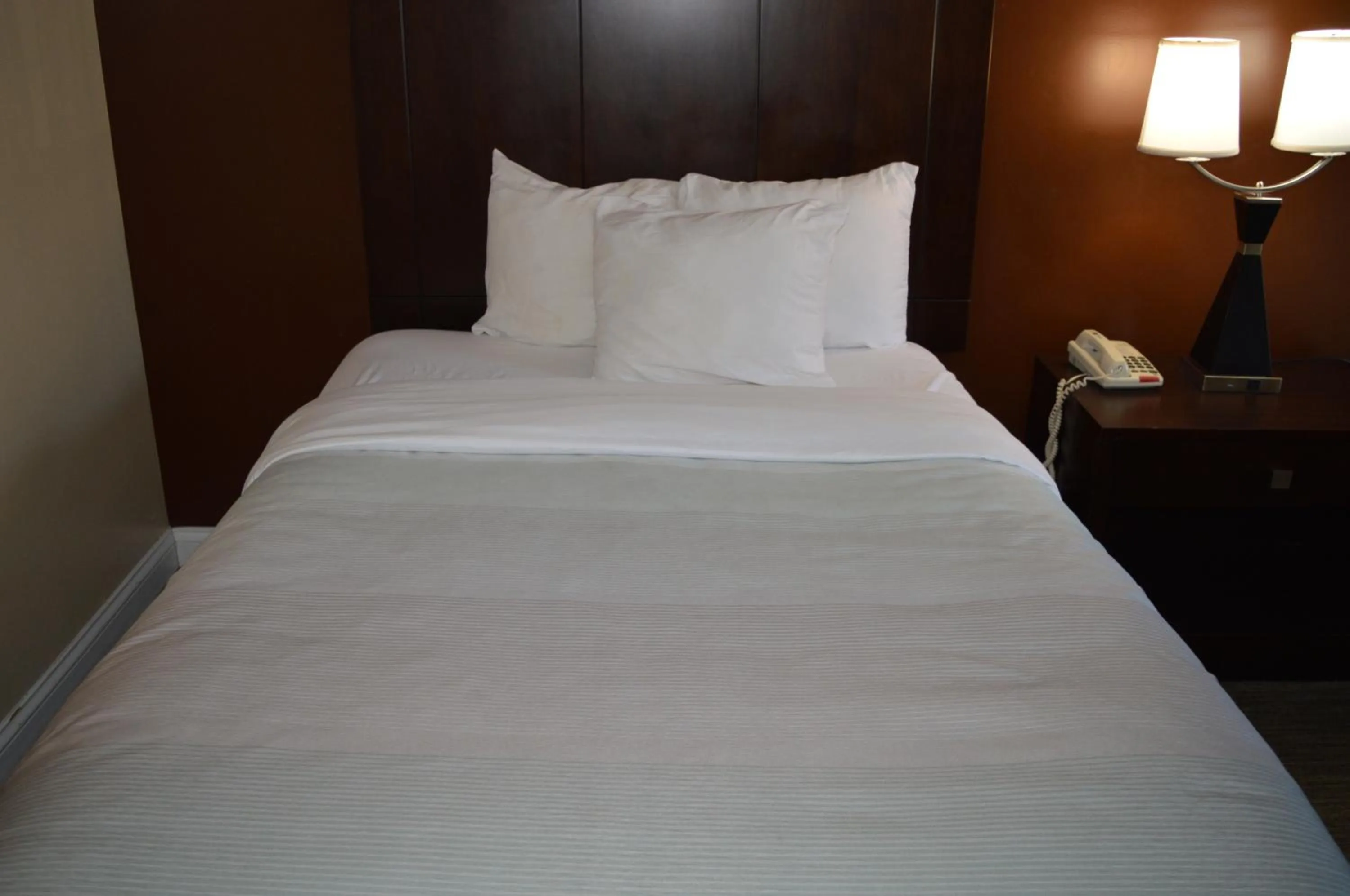 Bed in Quality Inn O'Hare Airport