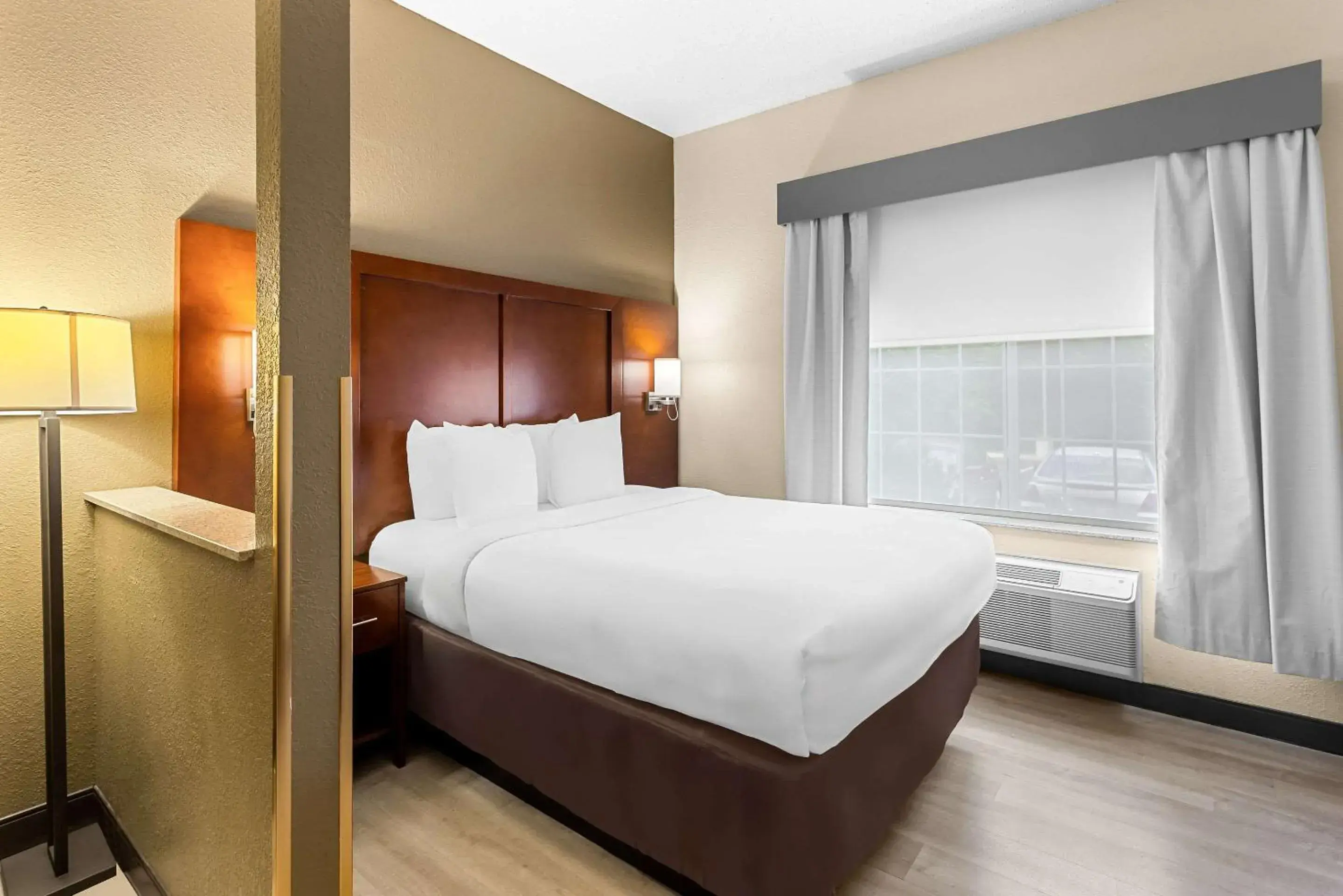 One-Bedroom Queen Suite - Disability Access/Non-Smoking in Comfort Suites Grayslake near Libertyville North One-Bedroom Queen Suite - Disability Access/Non-Smoking in Comfort Suites Grayslake near Libertyville North