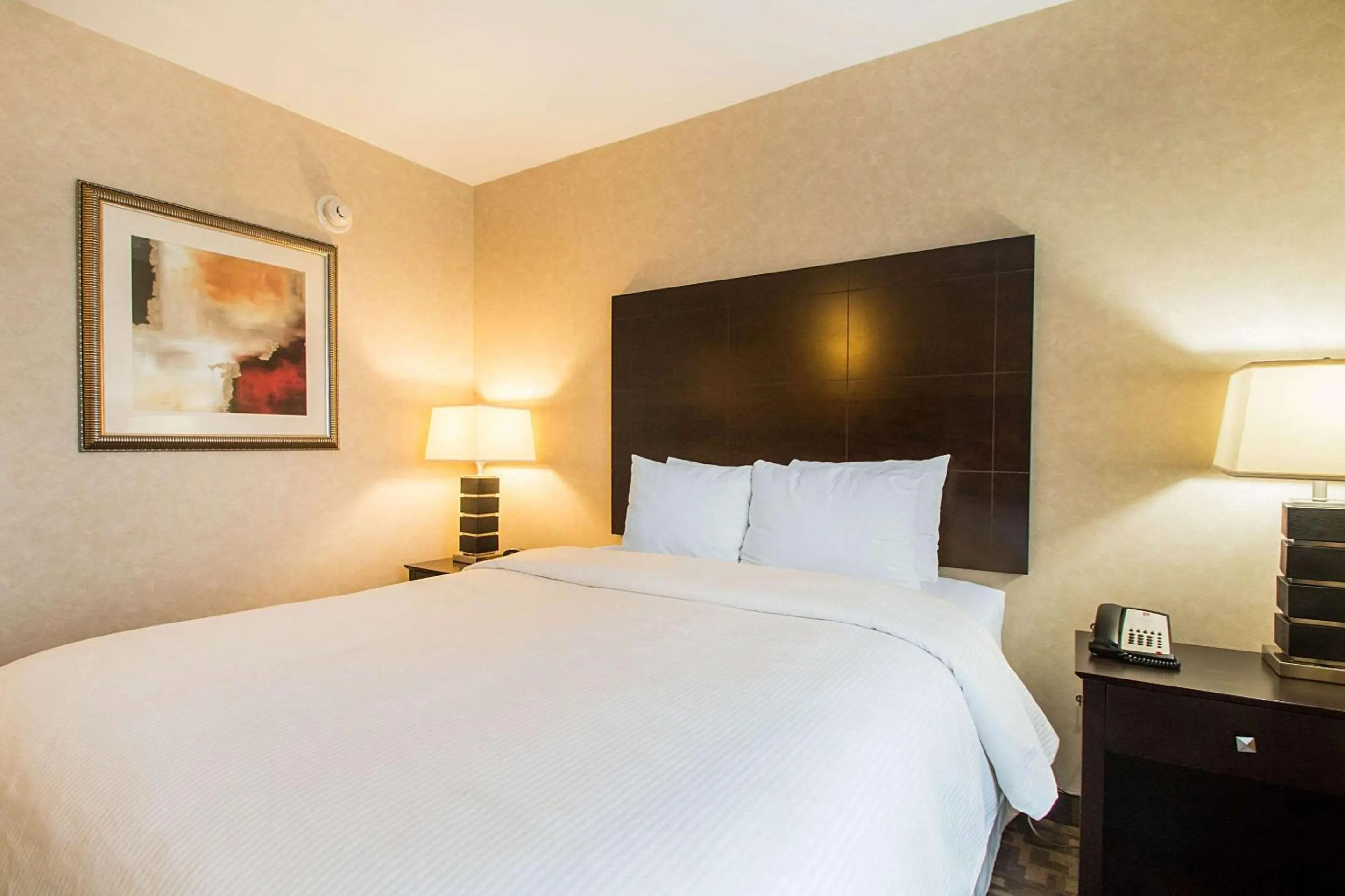 Photo of the whole room, Bed in Clarion Inn Elmhurst - Oak Brook near I-88, I-290, I-294