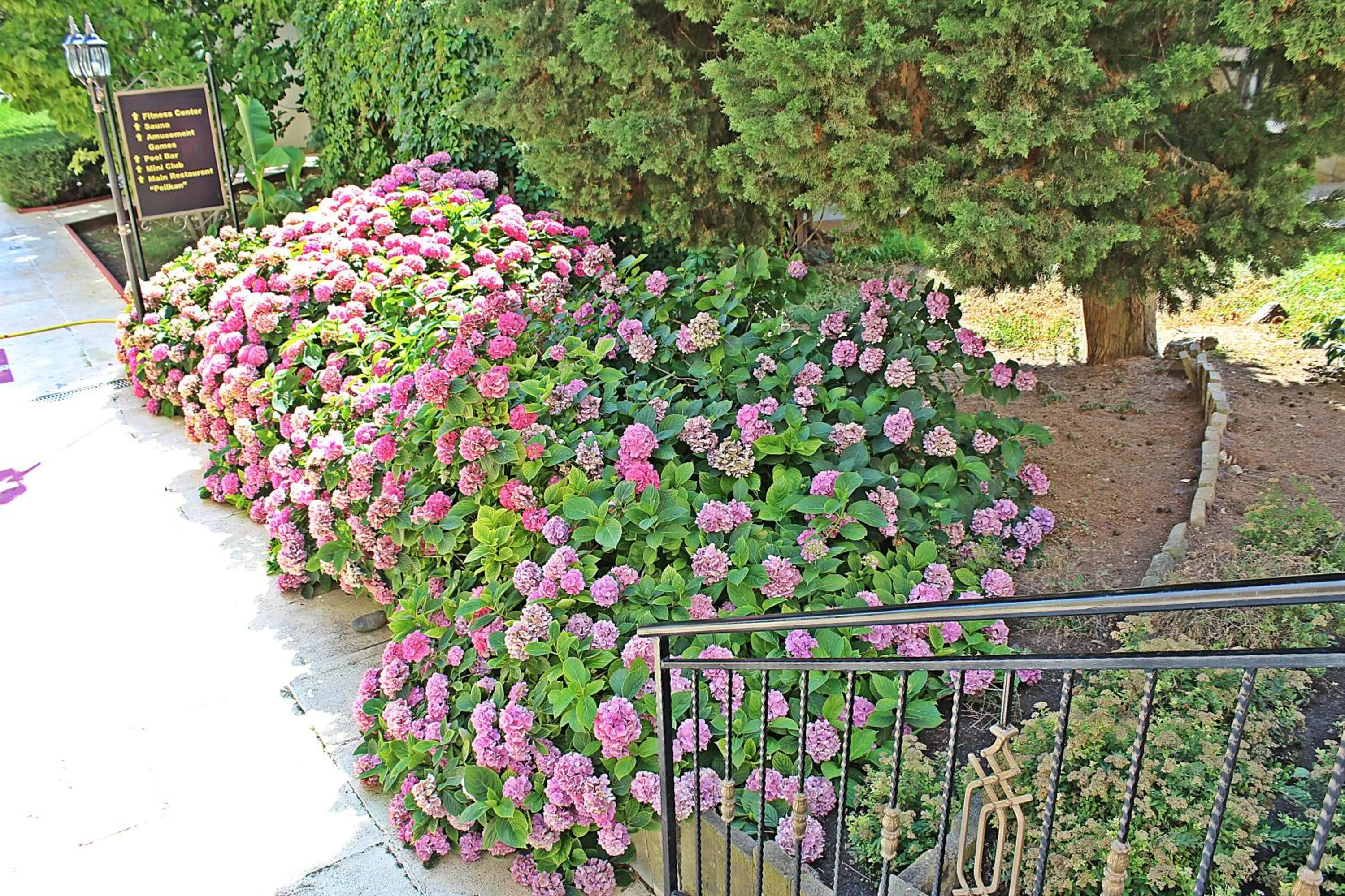 Property building in Duni Pelican Hotel - All Inclusive