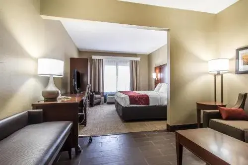 Comfort Suites Effingham Central Comfort Suites Effingham Central