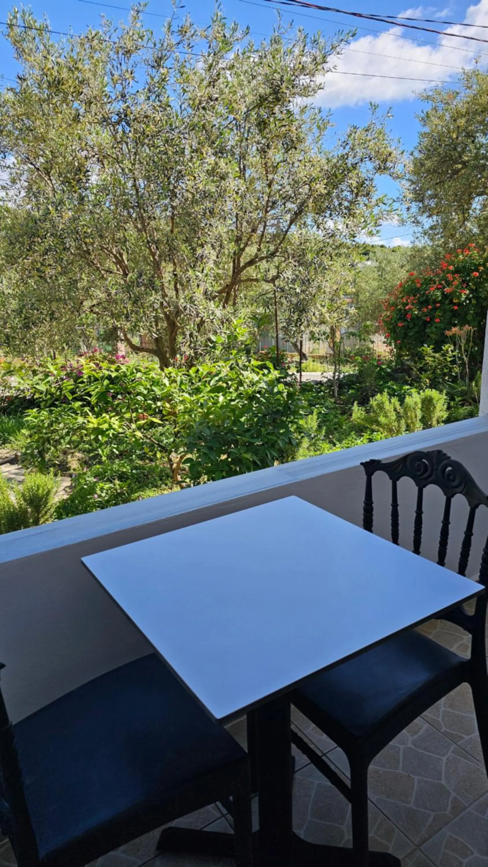 Garden view in Vila Malo