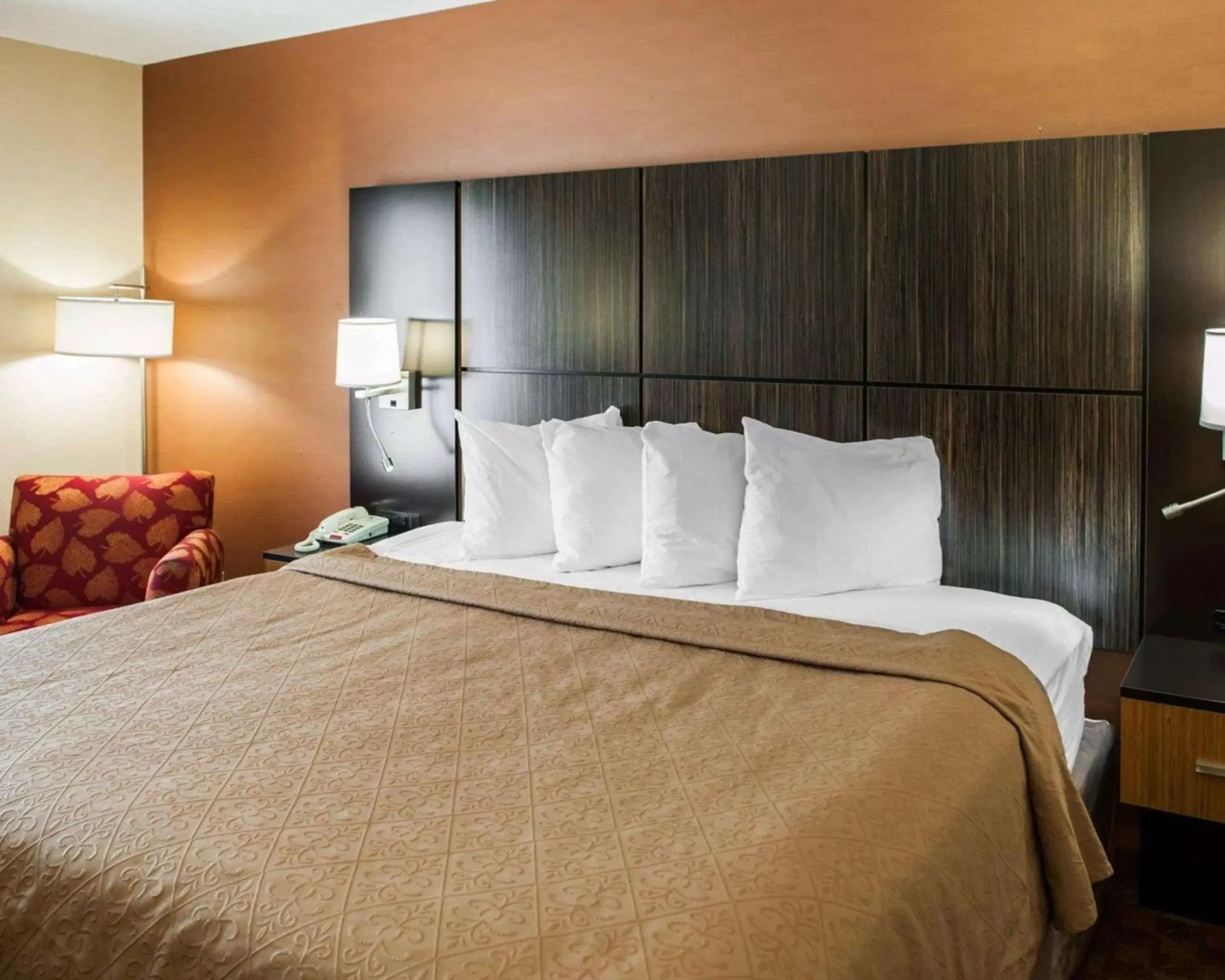 Photo of the whole room, Bed in Quality Inn Franklin I-65 Photo of the whole room, Bed in Quality Inn Franklin I-65