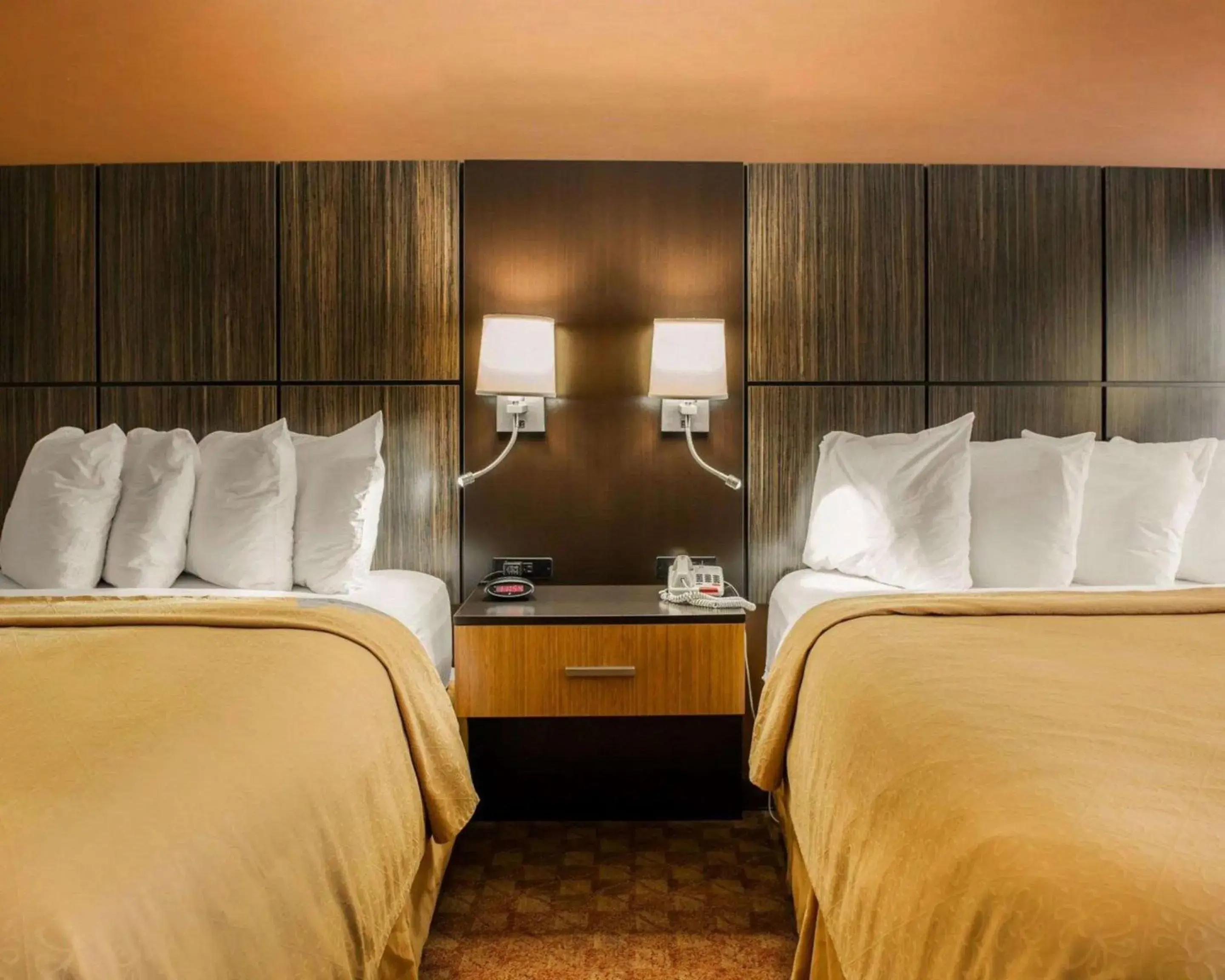 Photo of the whole room, Bed in Quality Inn Franklin I-65 Photo of the whole room, Bed in Quality Inn Franklin I-65