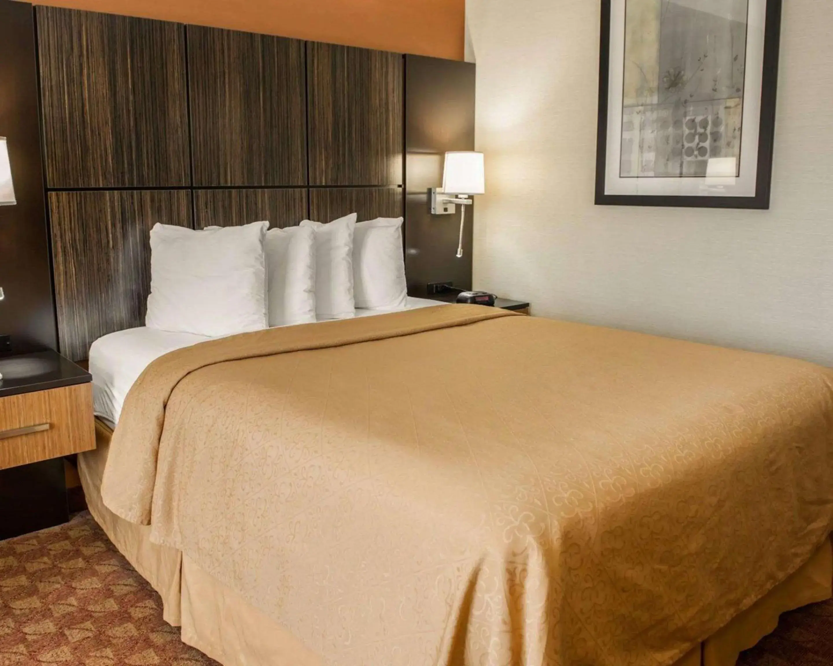 Photo of the whole room, Bed in Quality Inn Franklin I-65 Photo of the whole room, Bed in Quality Inn Franklin I-65