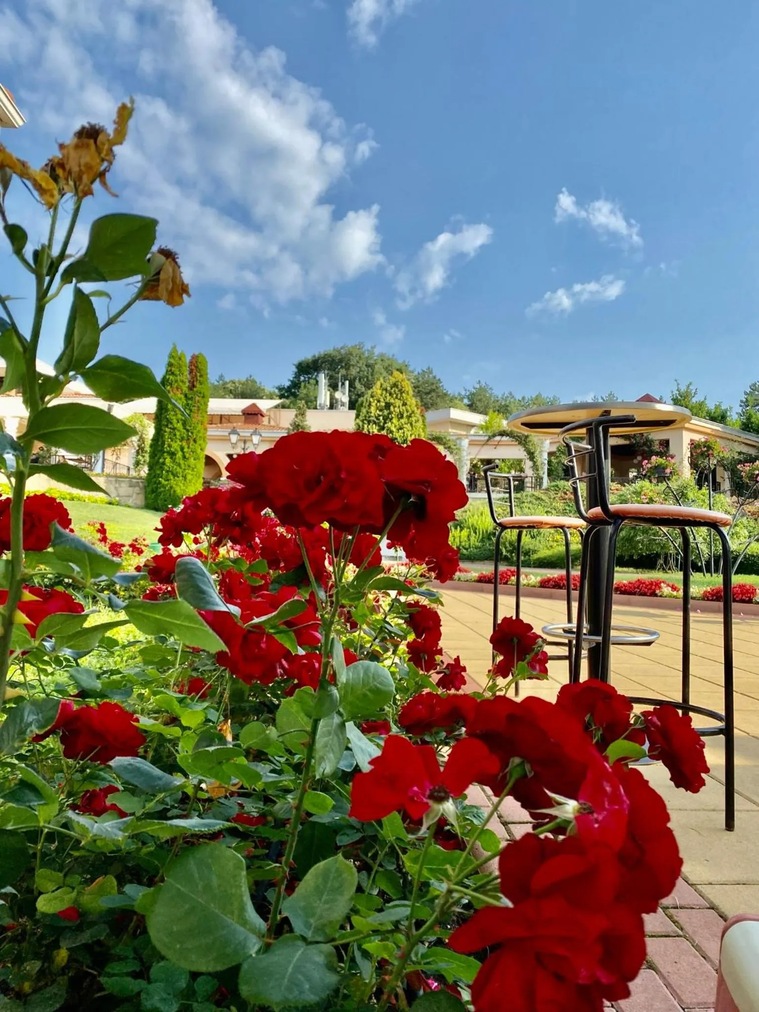 Garden in Duni Belleville - All Inclusive