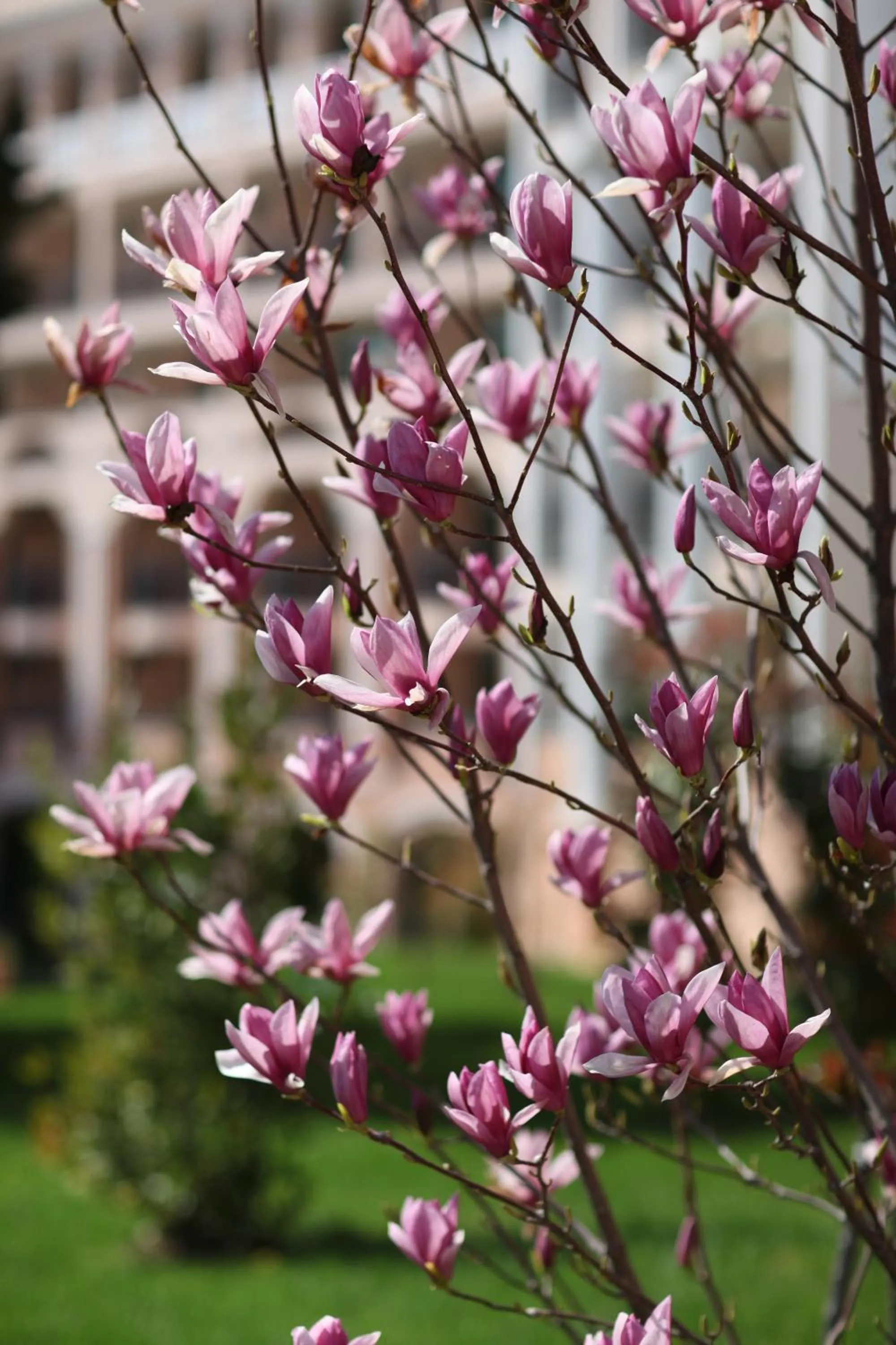 Property building in Duni Belleville - All Inclusive