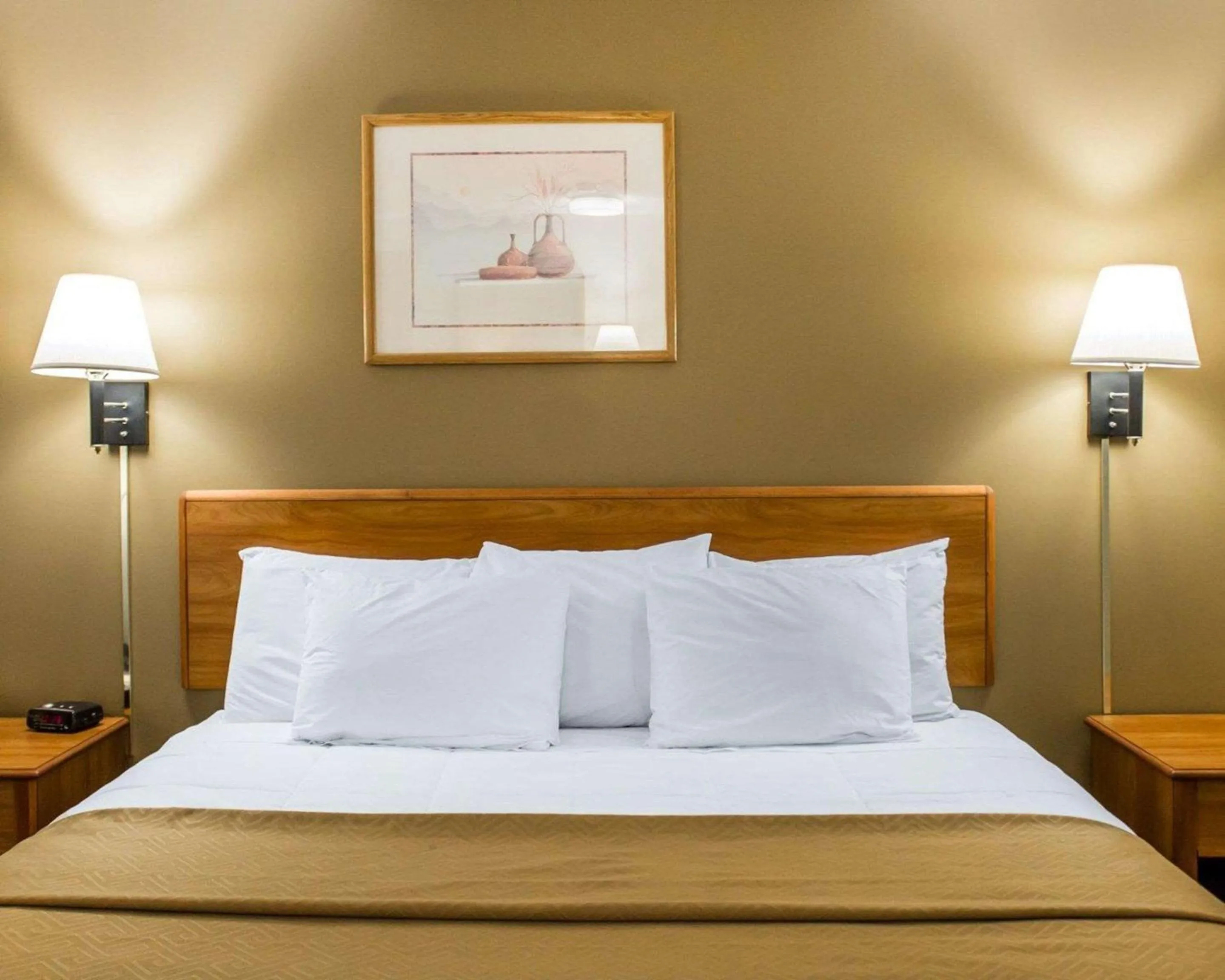 Photo of the whole room, Bed in Econo Lodge Elkhart North