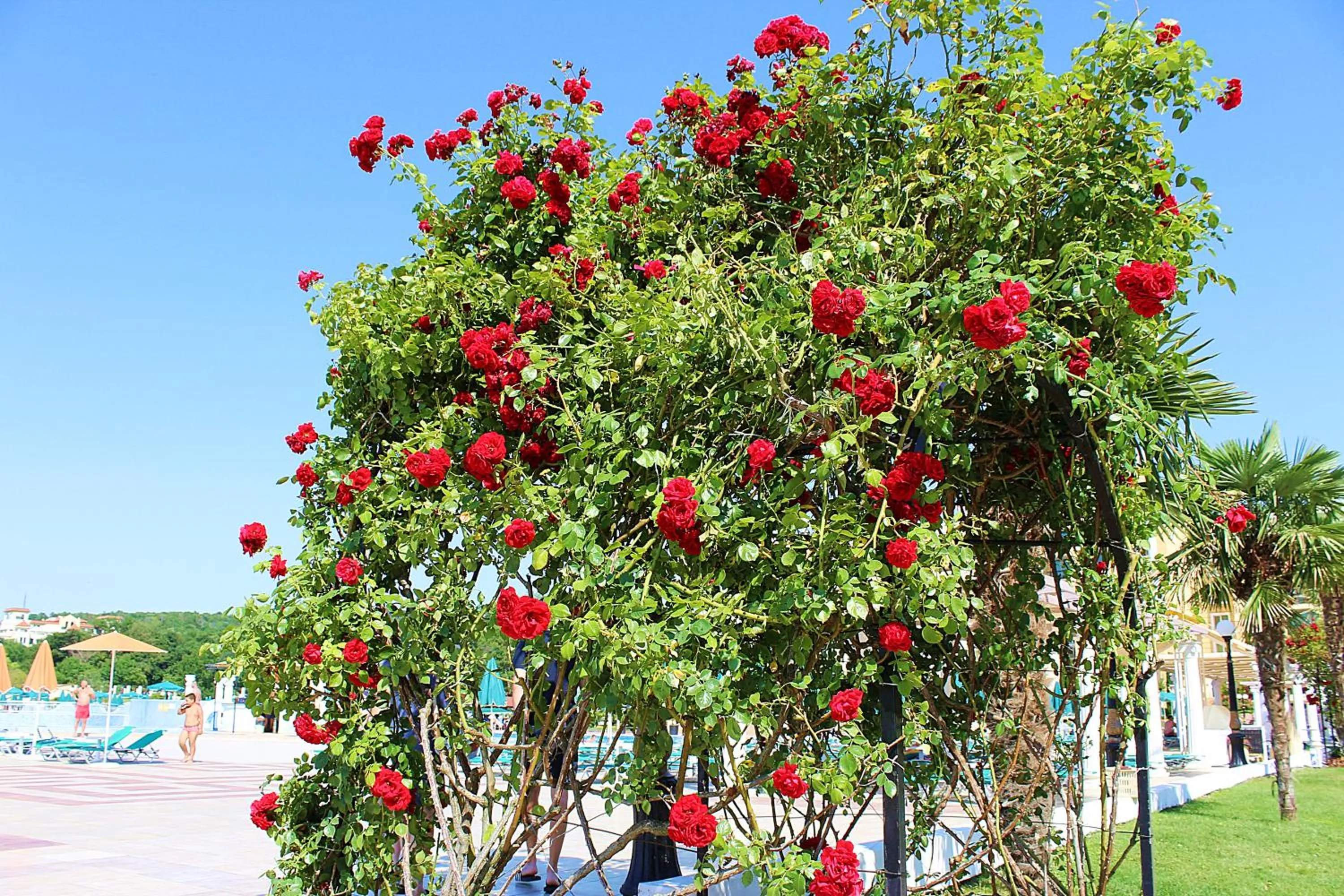 Property building in Duni Marina Beach Hotel - All Inclusive