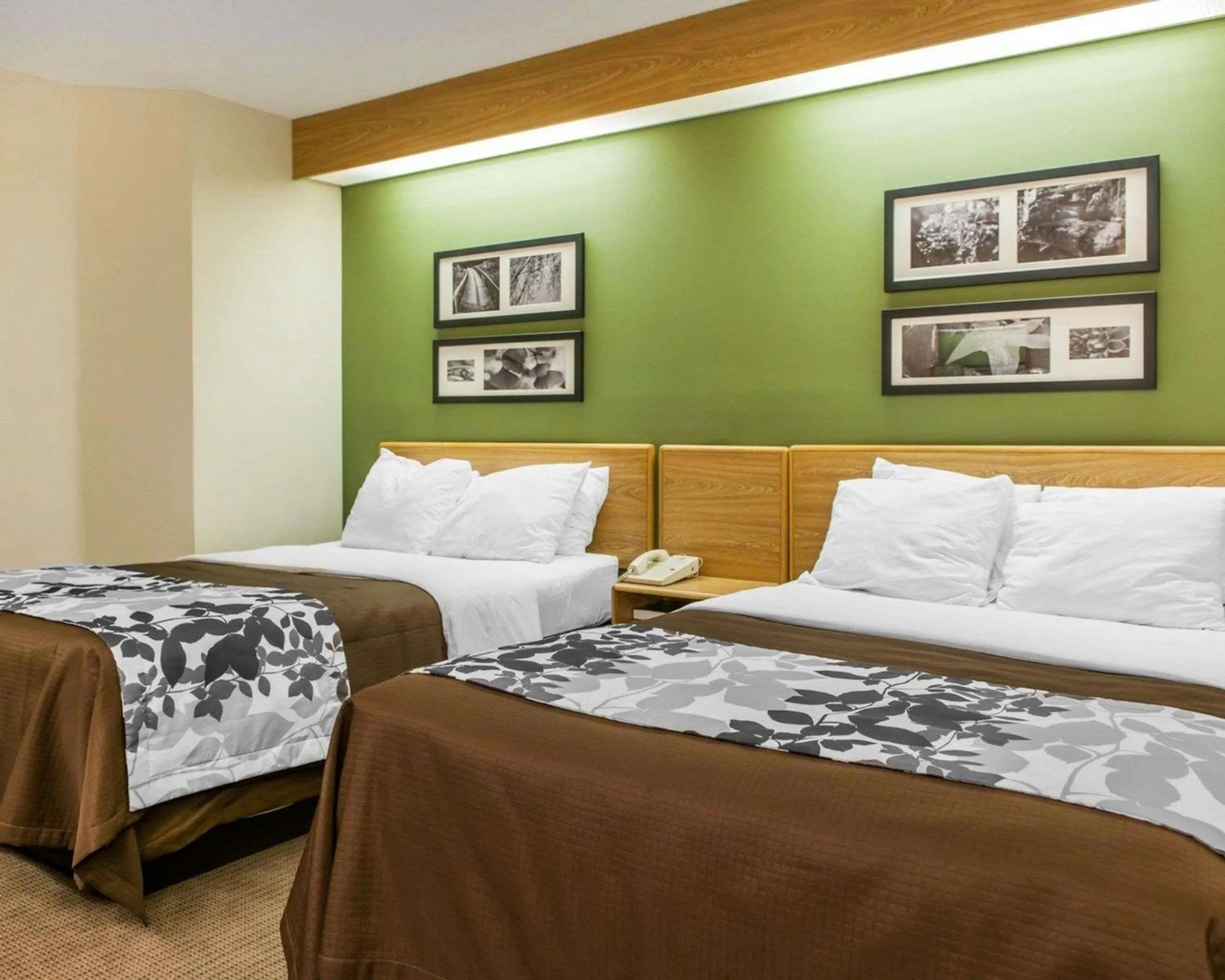 Photo of the whole room in Sleep Inn Elkhart North