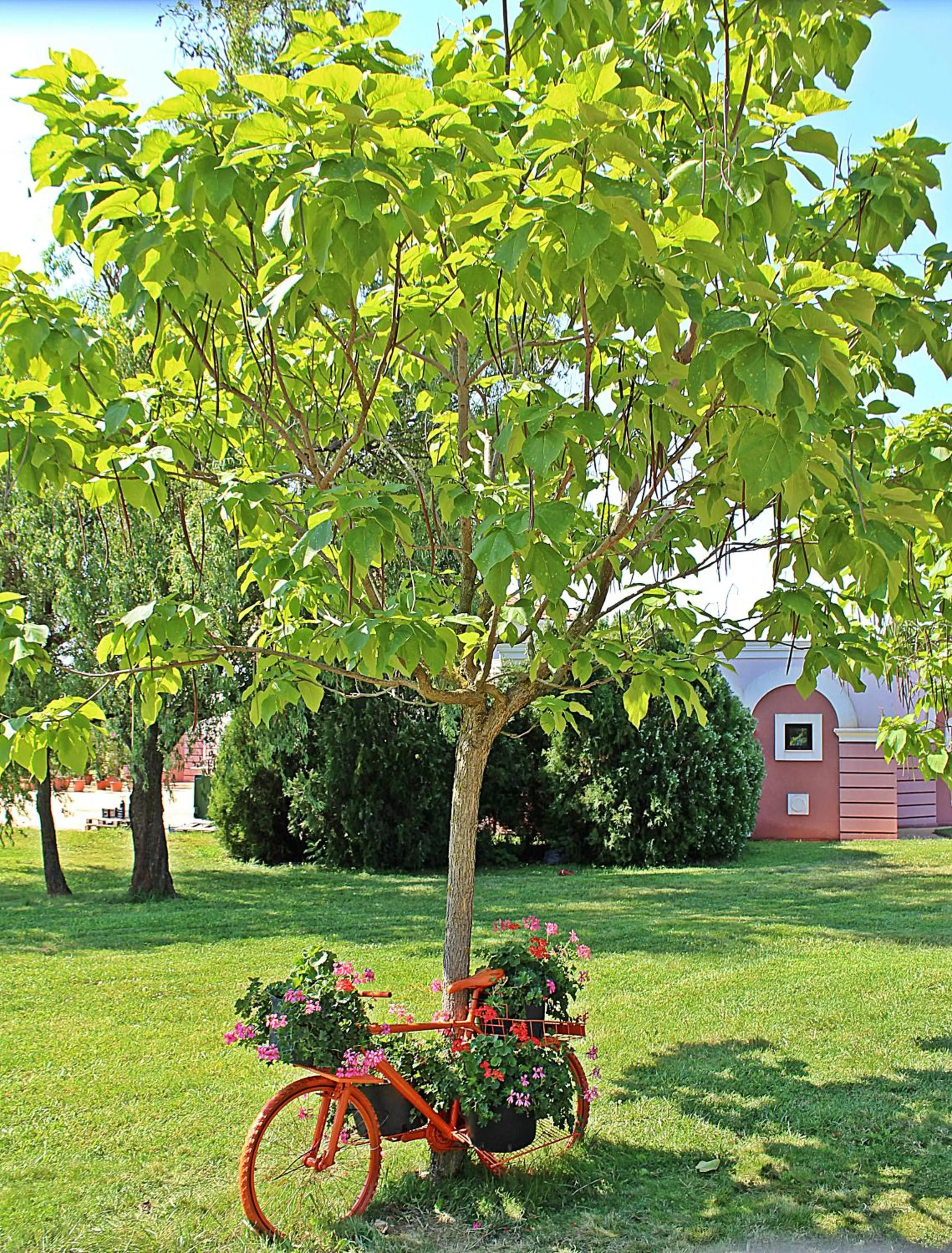 Garden in Duni Holiday Village - All Inclusive