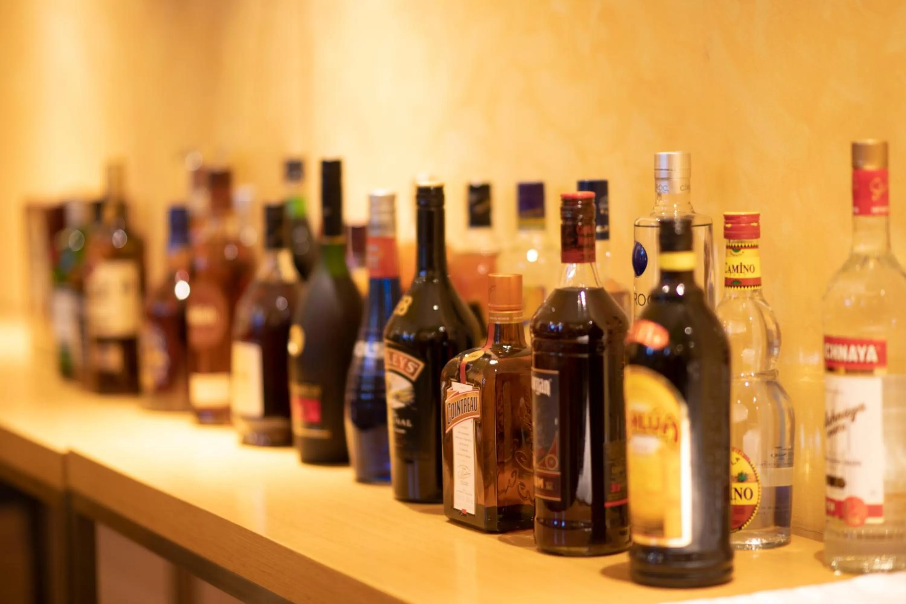 Lounge or bar in Vamos Addis Hotel