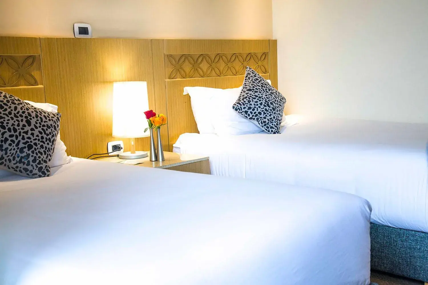 Twin Room with City View in Vamos Addis Hotel Twin Room with City View in Vamos Addis Hotel