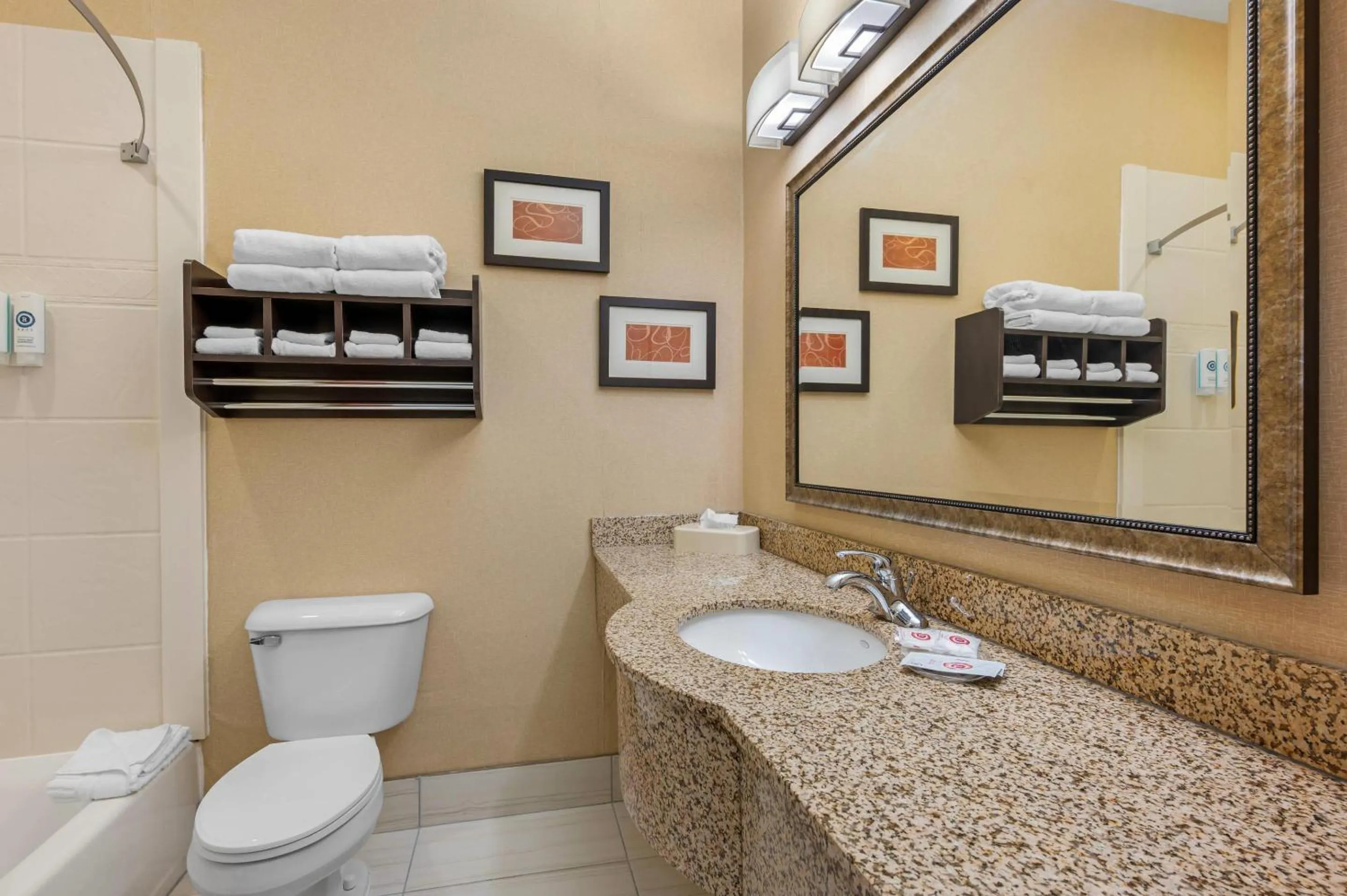 Bedroom in Comfort Suites South Bend Near Casino