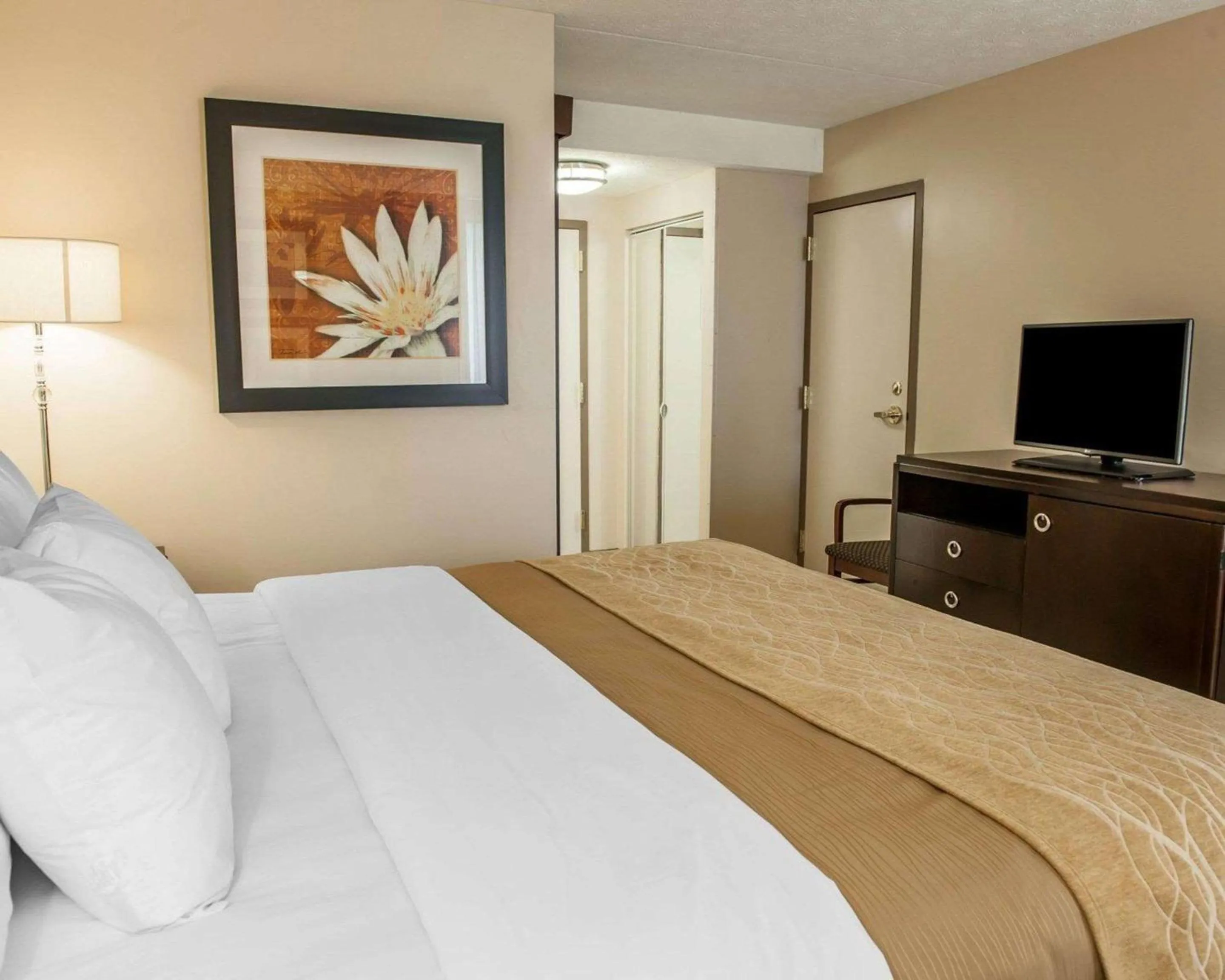 Bedroom, Bed in Comfort Inn Bloomington near University