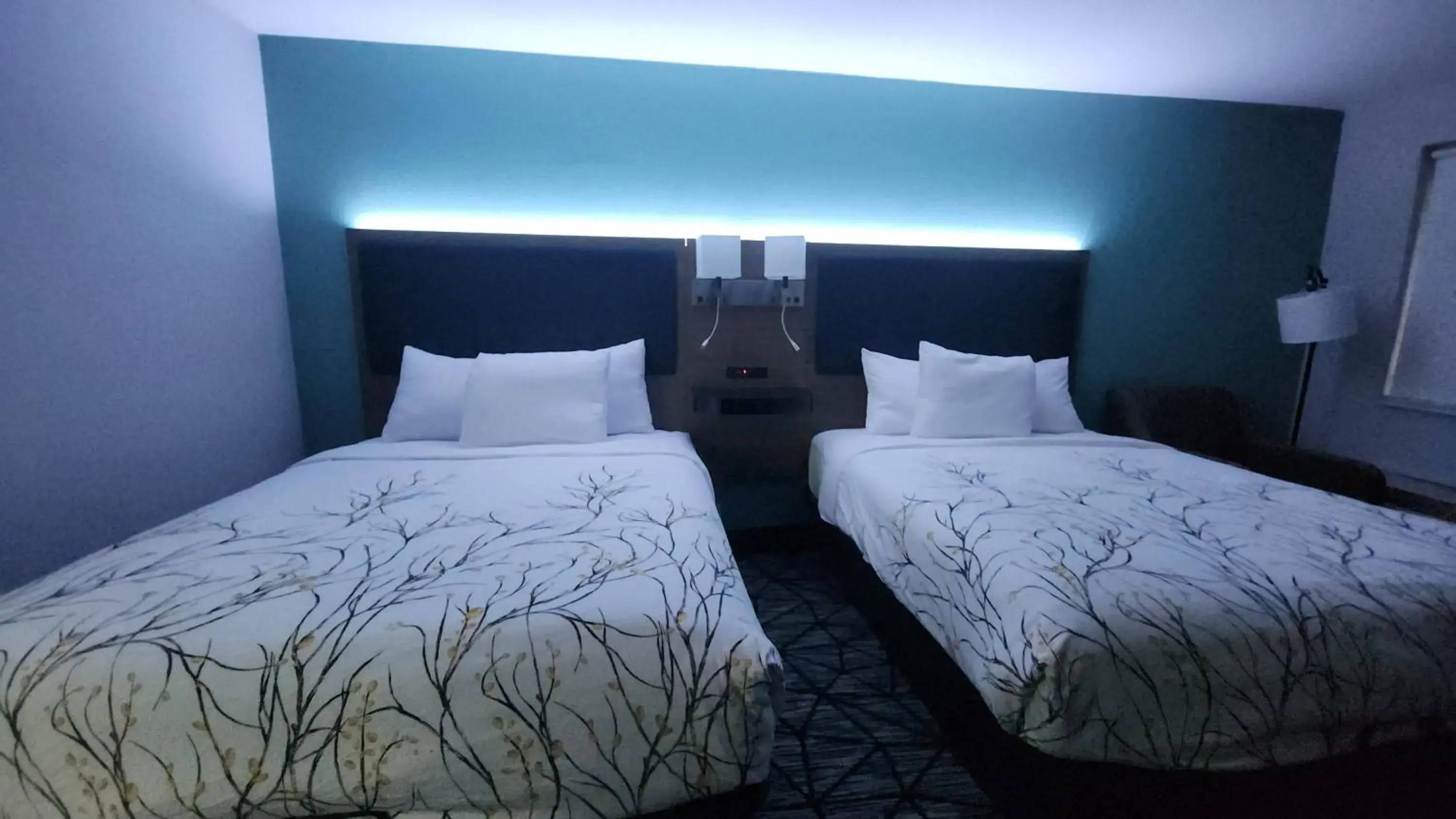 Bed in Baymont by Wyndham South Bend Near Notre Dame Bed in Baymont by Wyndham South Bend Near Notre Dame