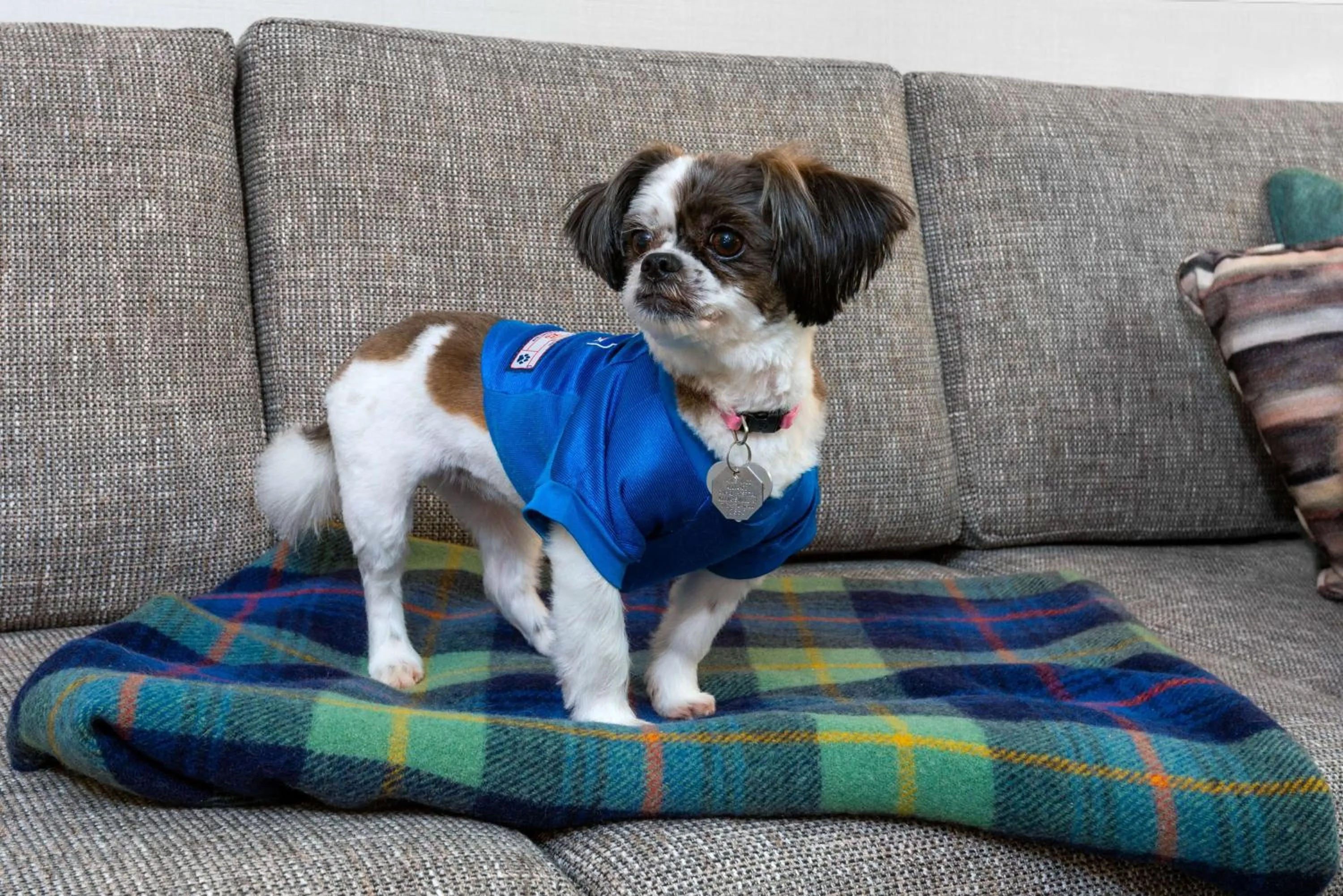 Other in Homewood Suites by Hilton Buffalo/Airport