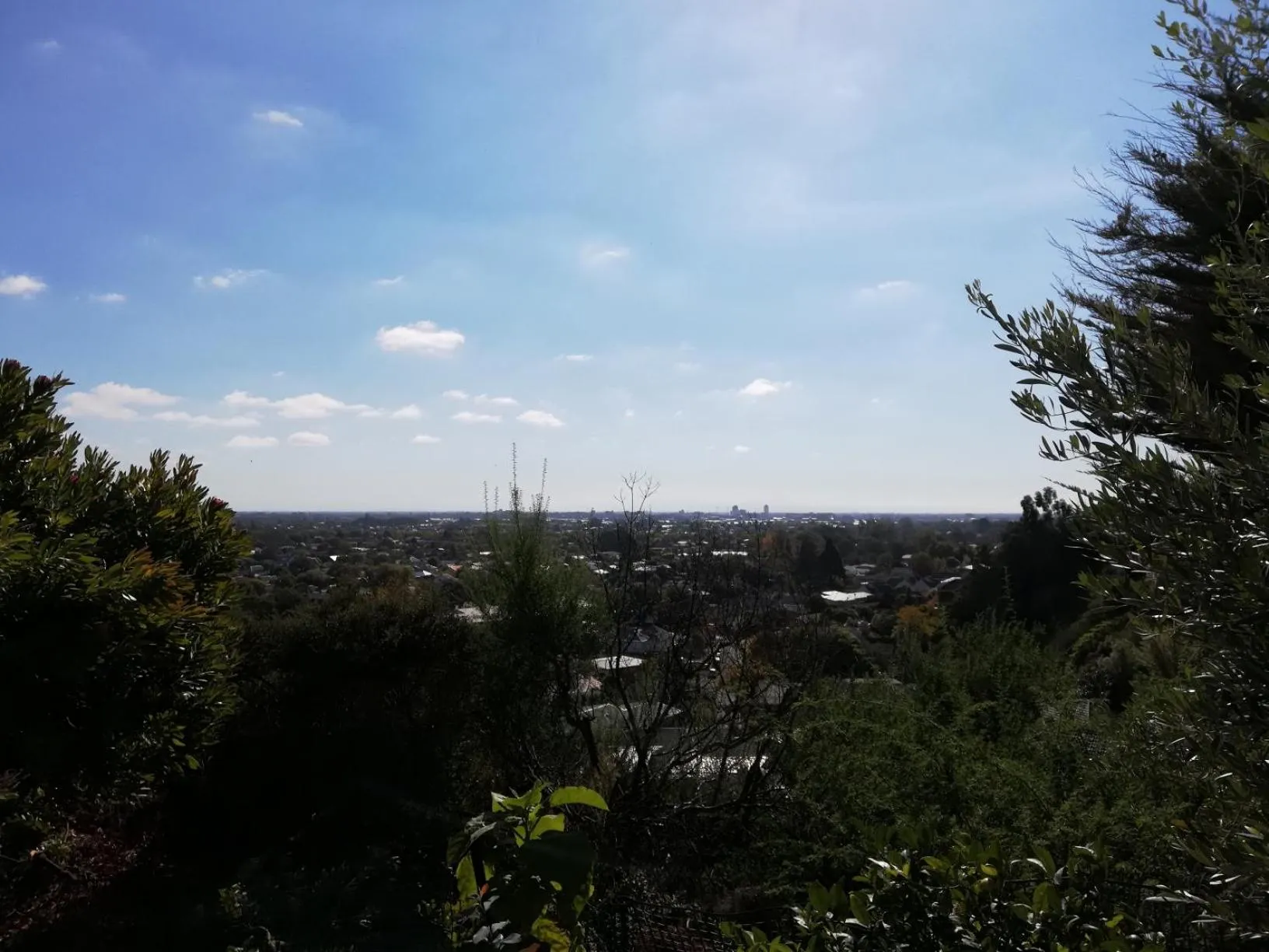 City view in Whaka Heights