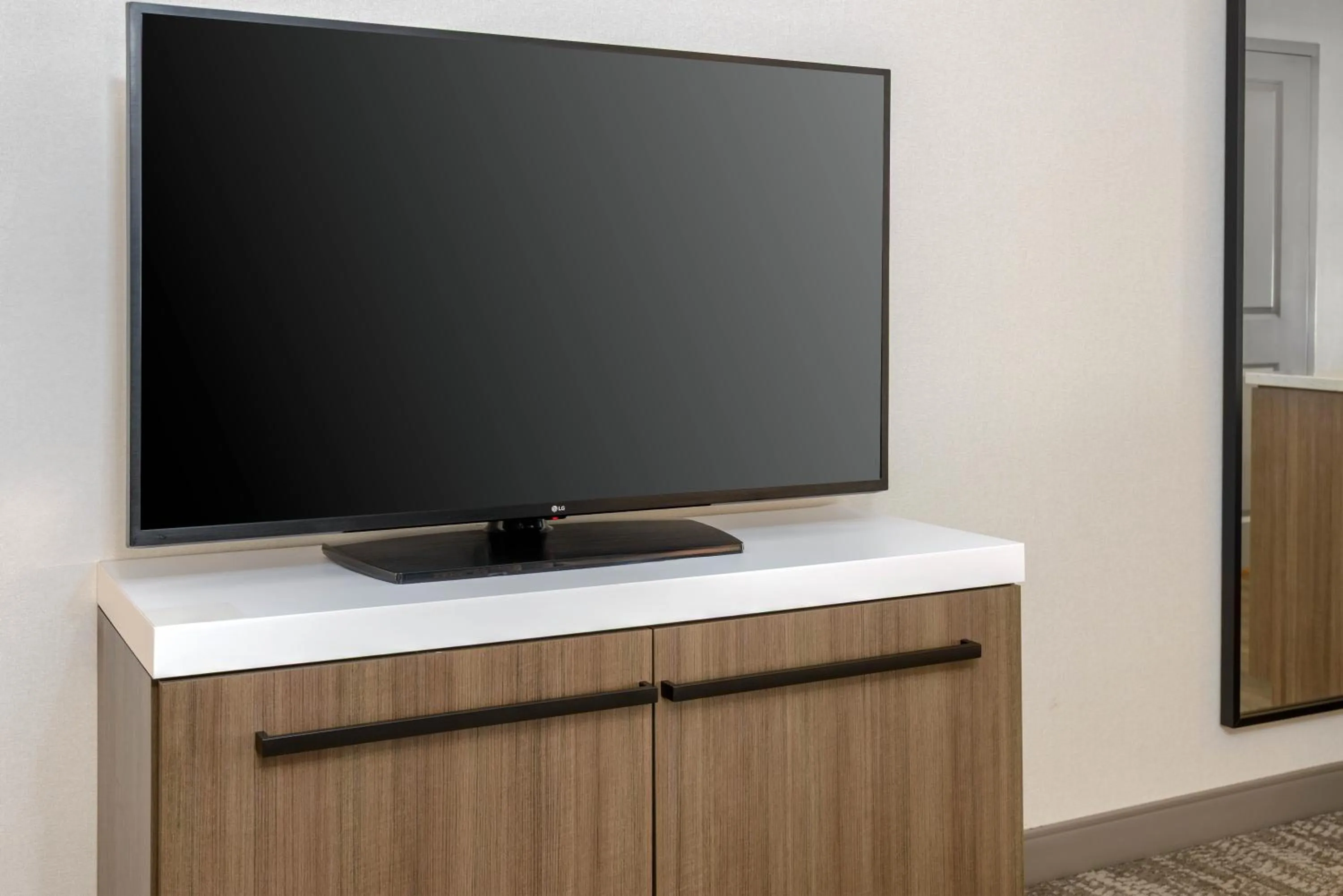 TV and multimedia in Hilton Garden Inn Buffalo Airport