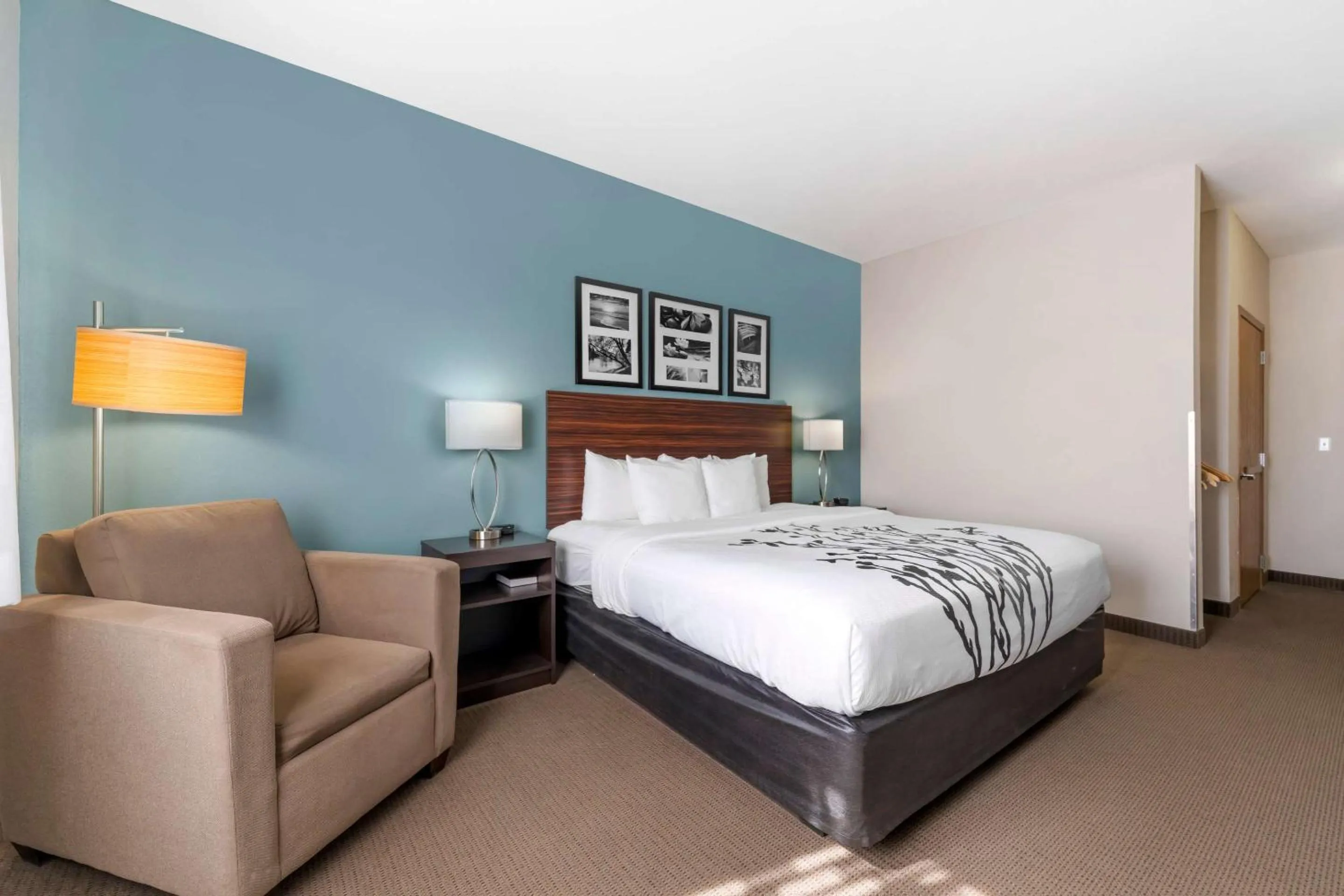 Bedroom in Sleep Inn & Suites Hays I-70