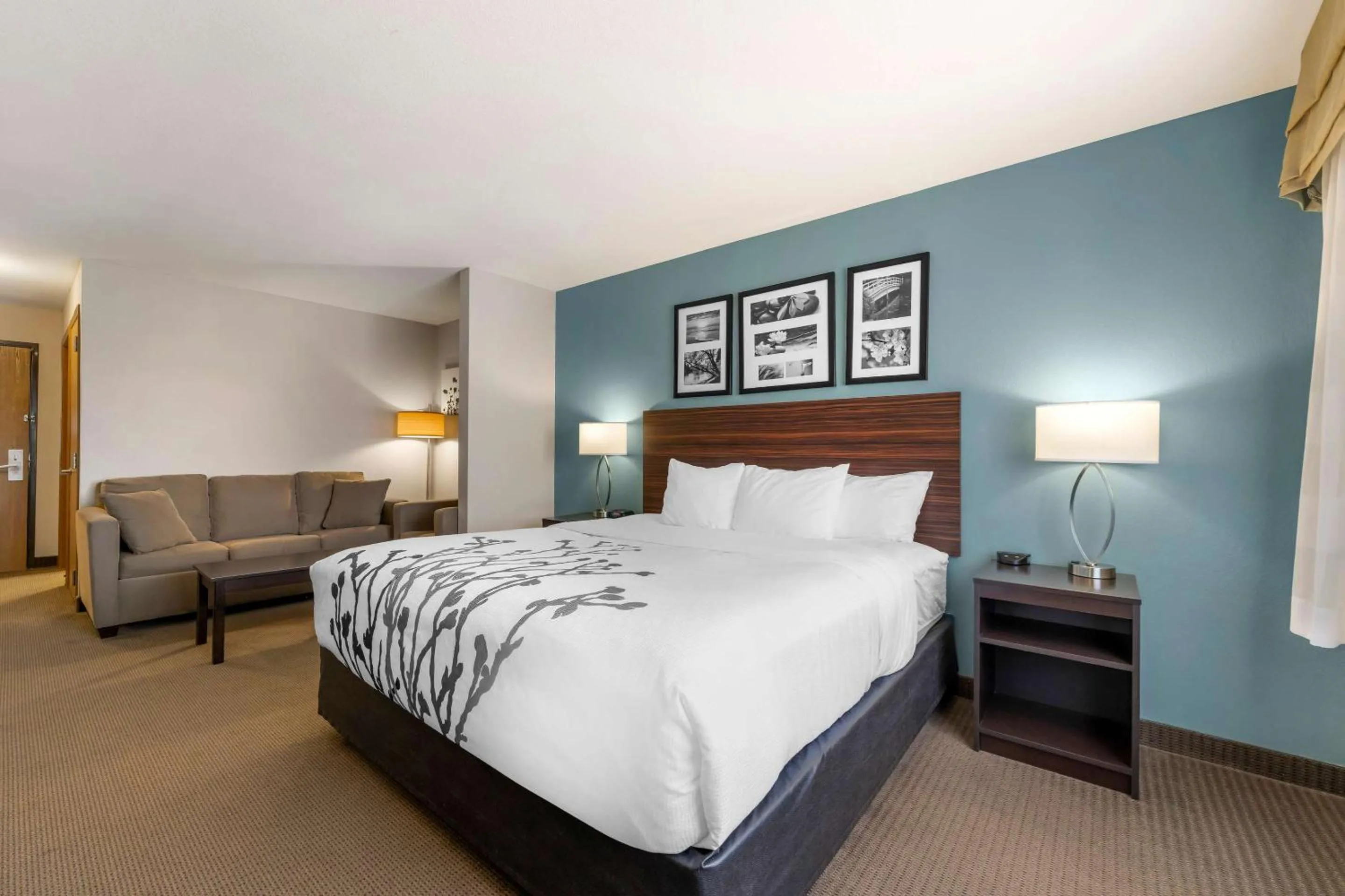 Bedroom in Sleep Inn & Suites Hays I-70