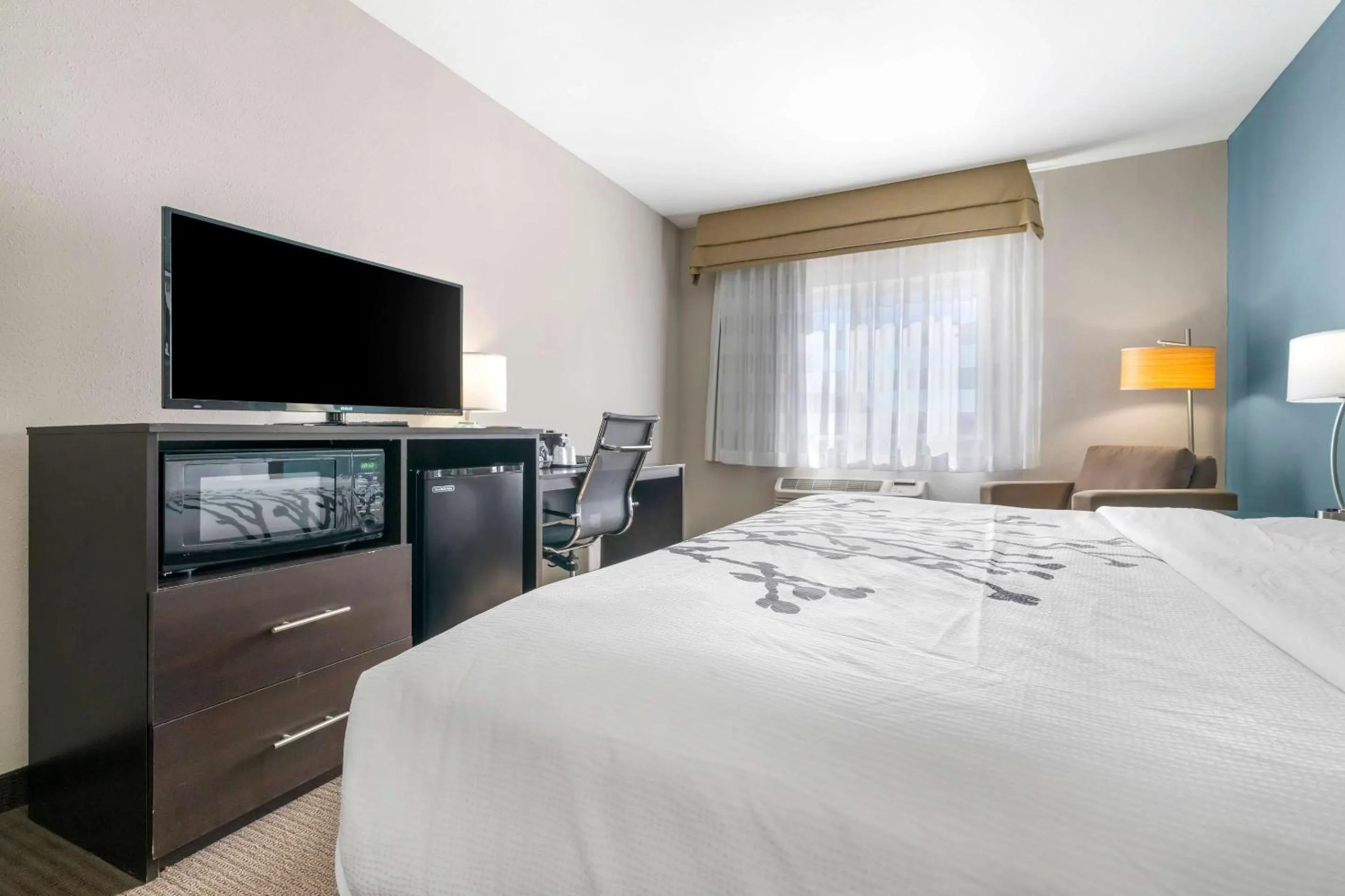 Bedroom in Sleep Inn & Suites Hays I-70