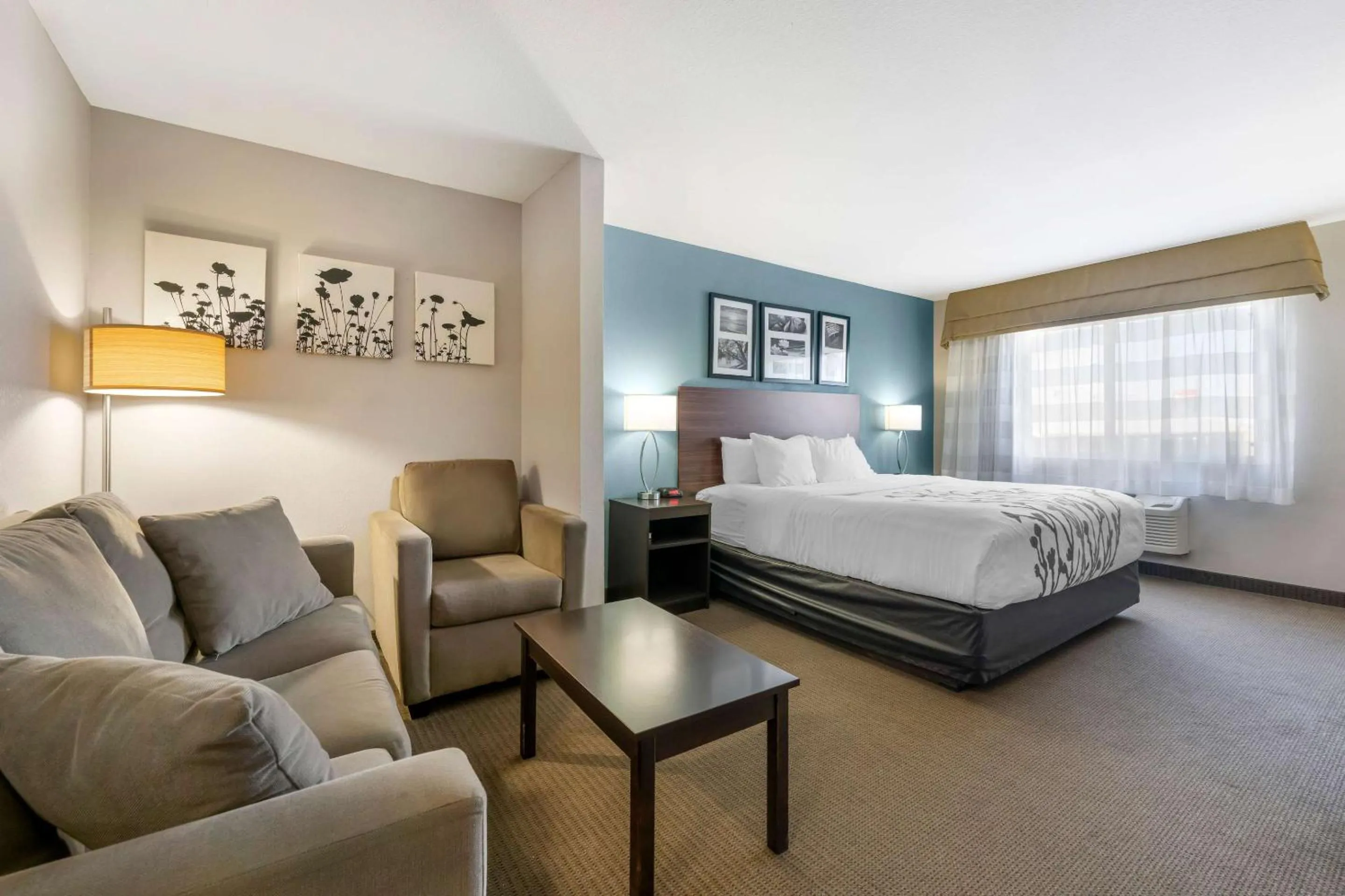 Bedroom in Sleep Inn & Suites Hays I-70