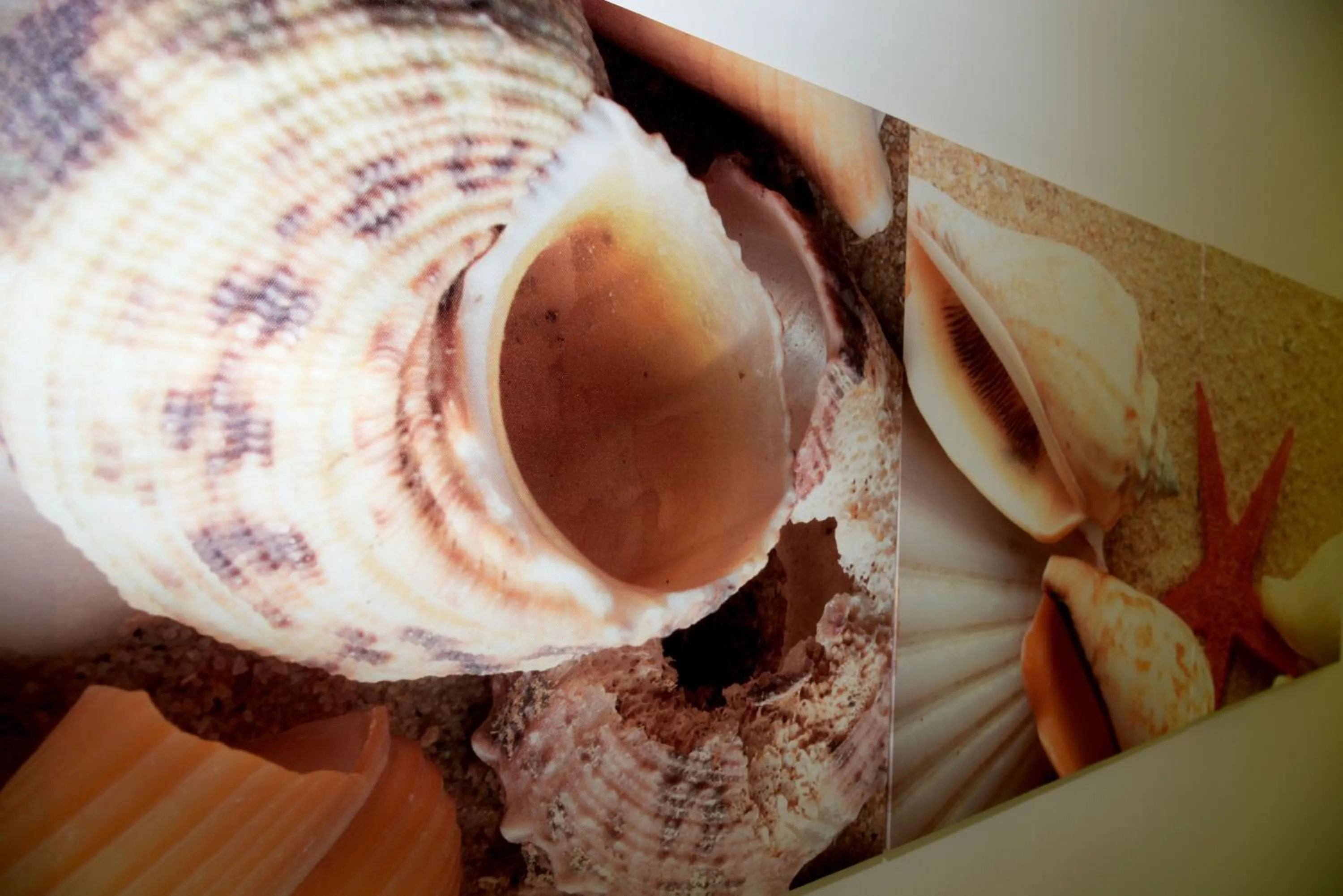 Decorative detail in B&B villa brezza marina