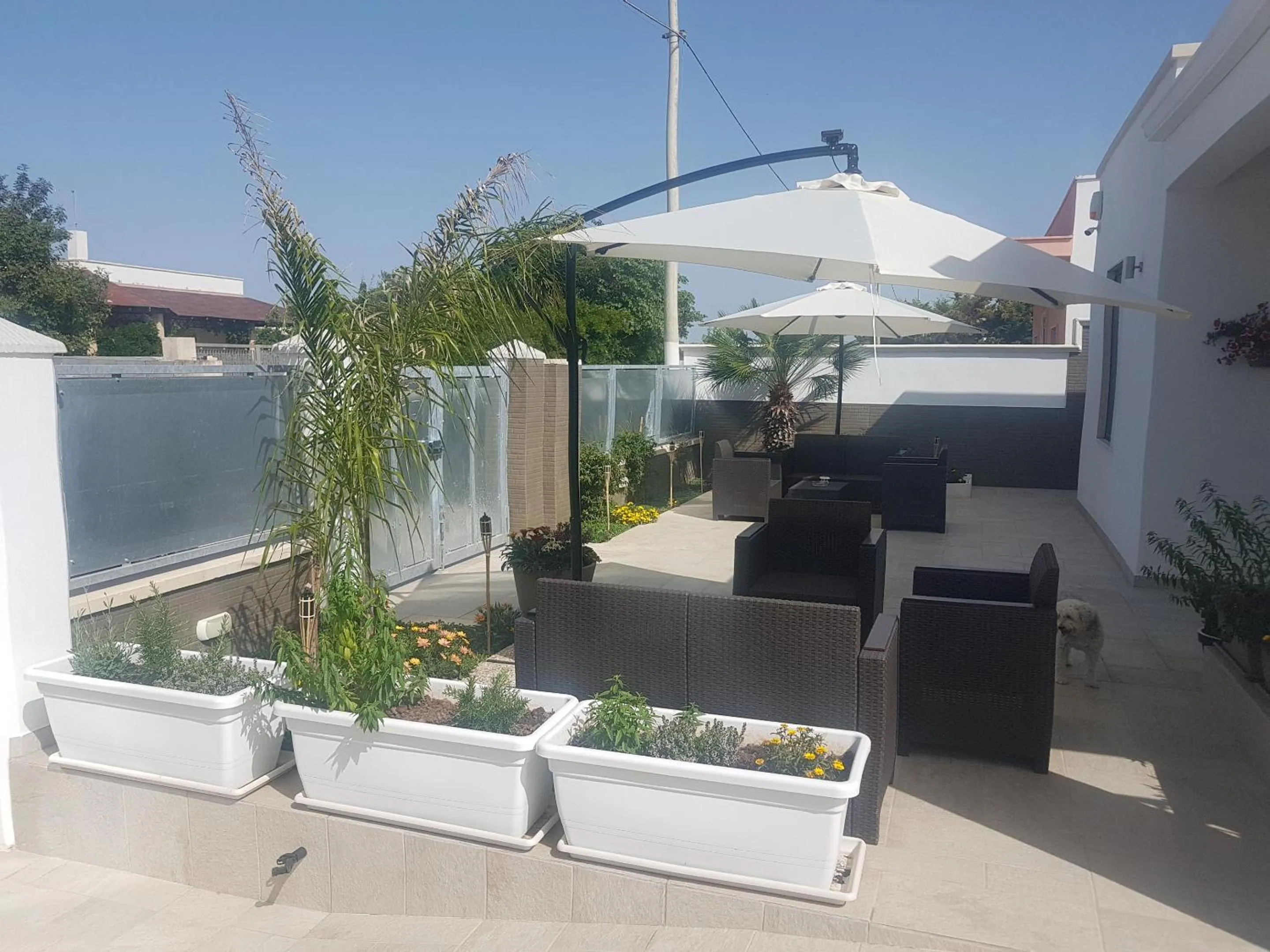 Day in B&B villa brezza marina