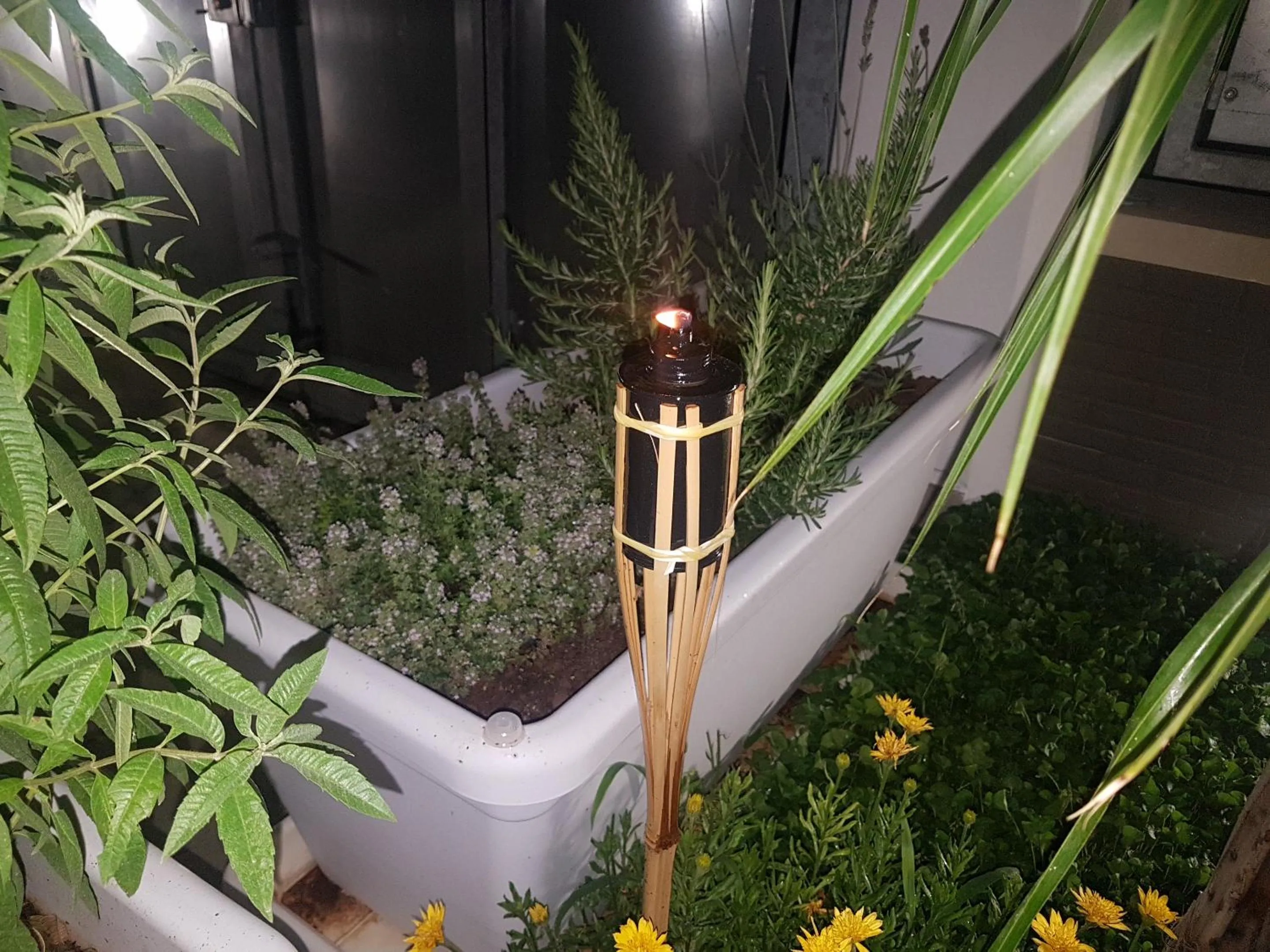 Garden in B&B villa brezza marina