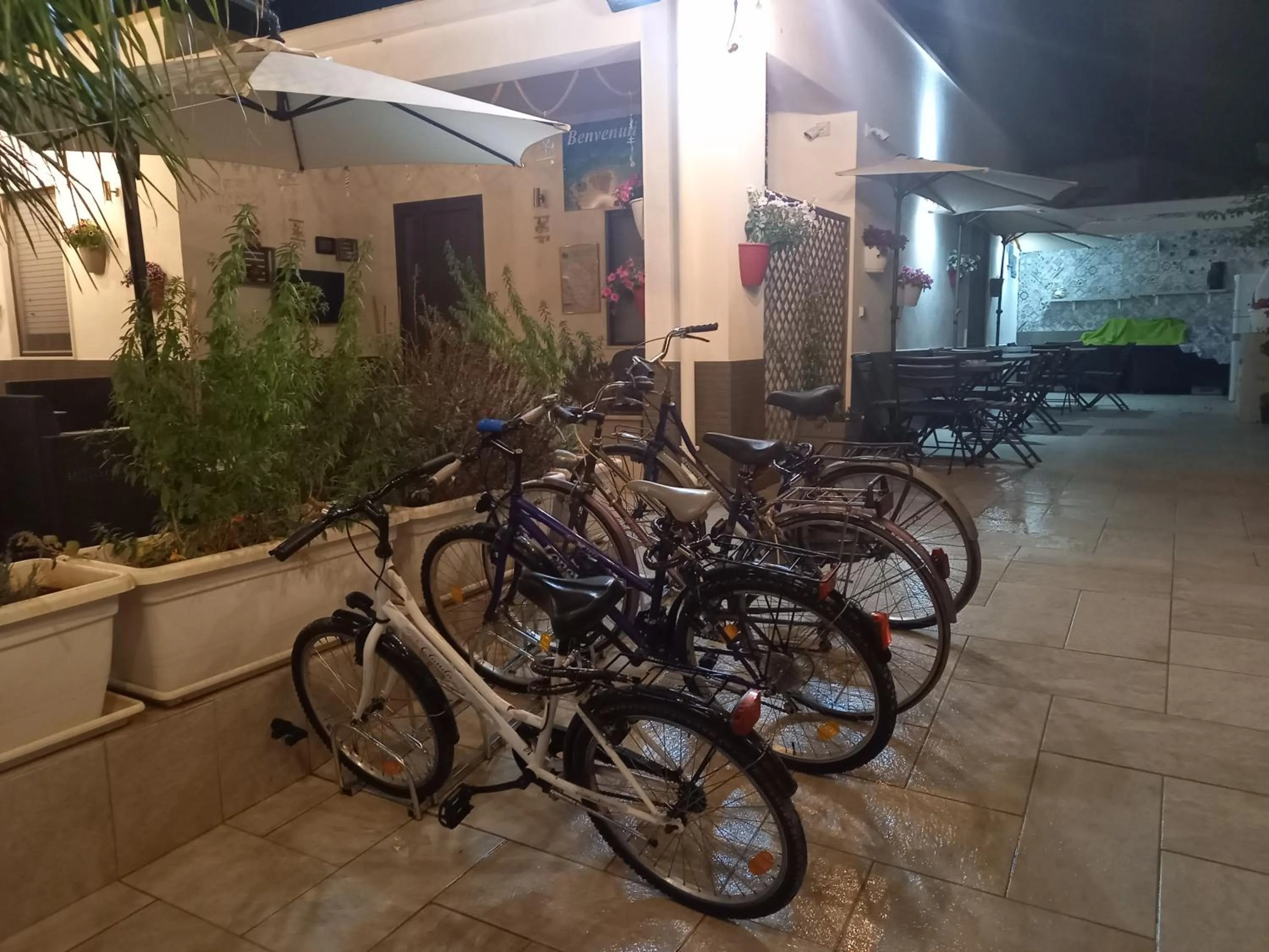 Activities in B&B villa brezza marina