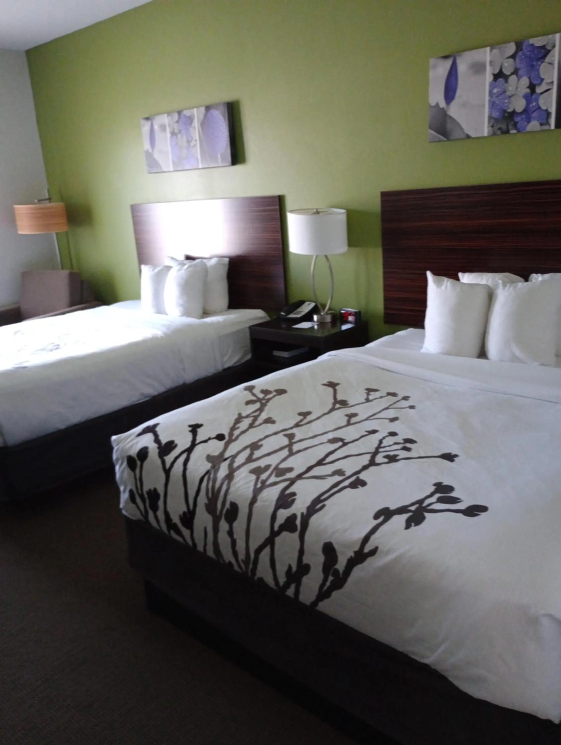 Bed in Sleep Inn & Suites Oakley I-70