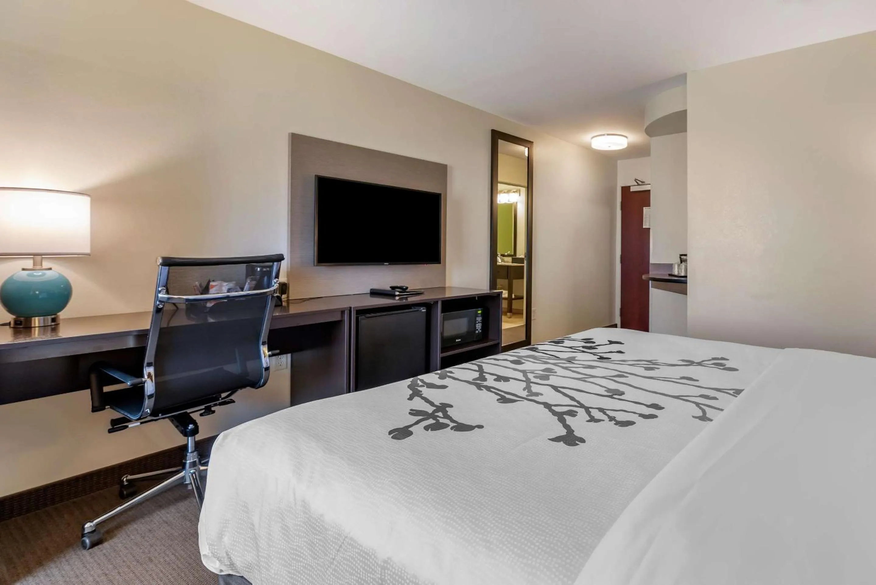 TV and multimedia, Bed in Sleep Inn & Suites Oakley I-70