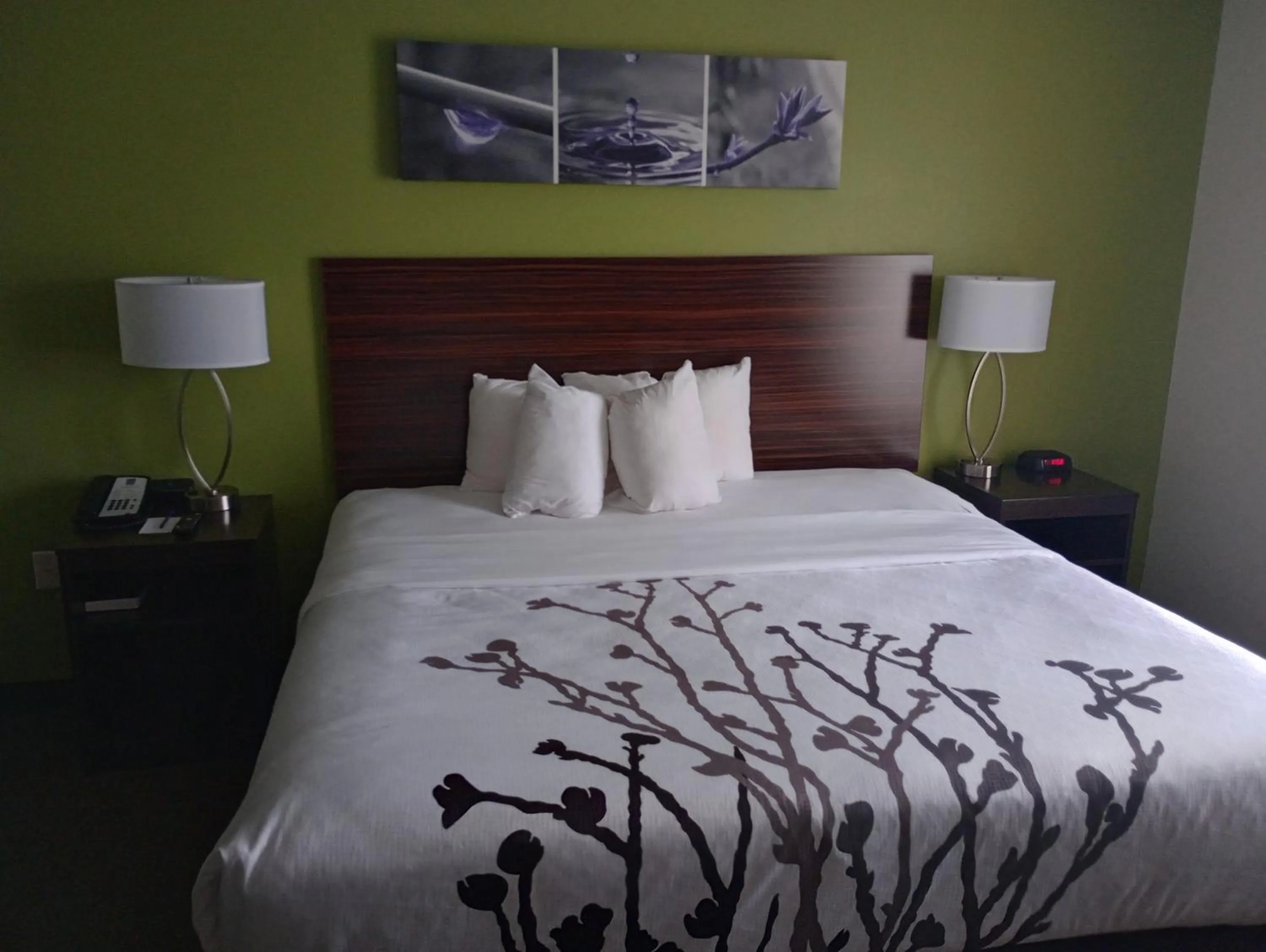 Bed in Sleep Inn & Suites Oakley I-70