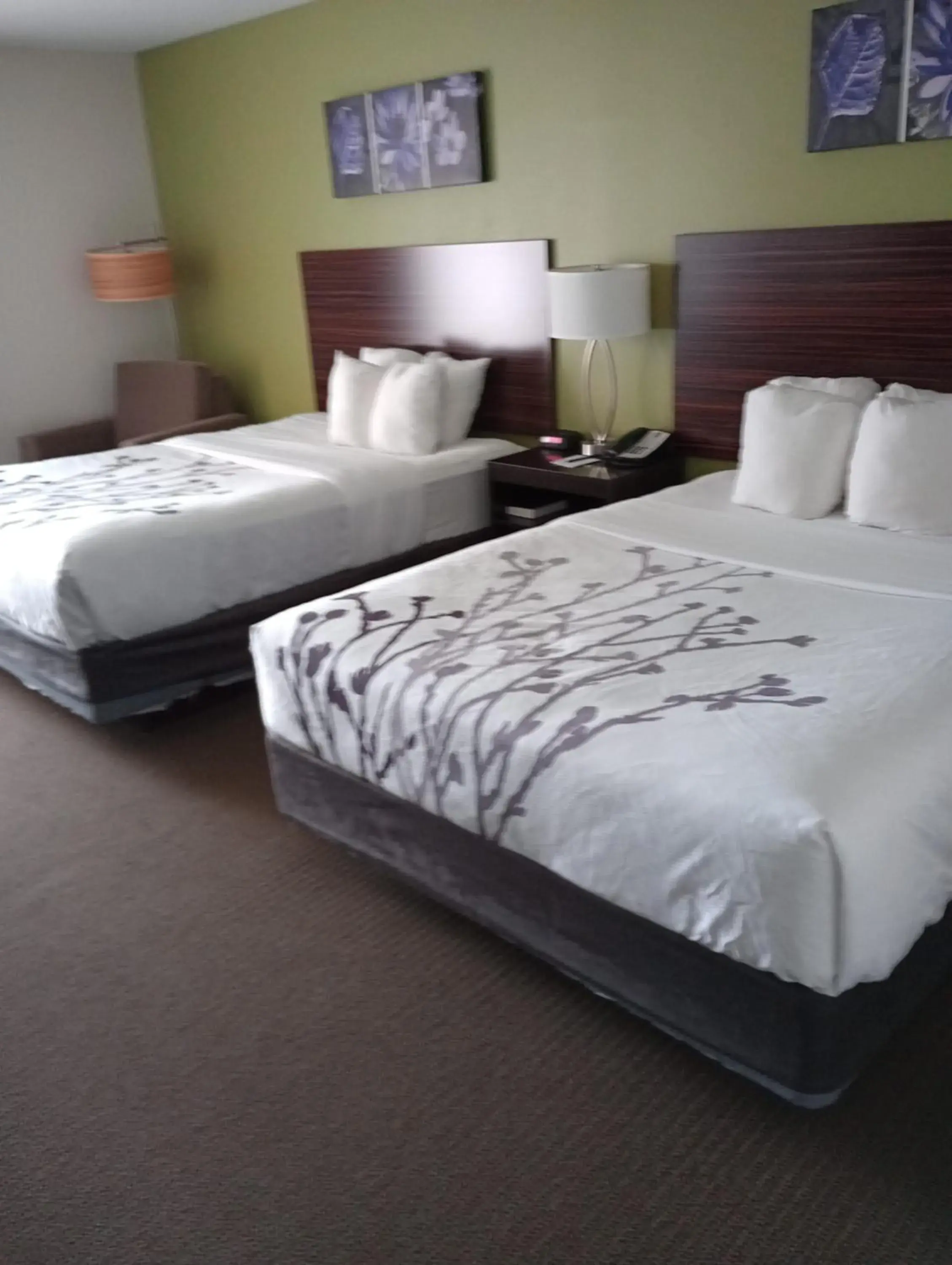 Queen Room with Two Queen Beds - Non-Smoking in Sleep Inn & Suites Oakley I-70 Queen Room with Two Queen Beds - Non-Smoking in Sleep Inn & Suites Oakley I-70