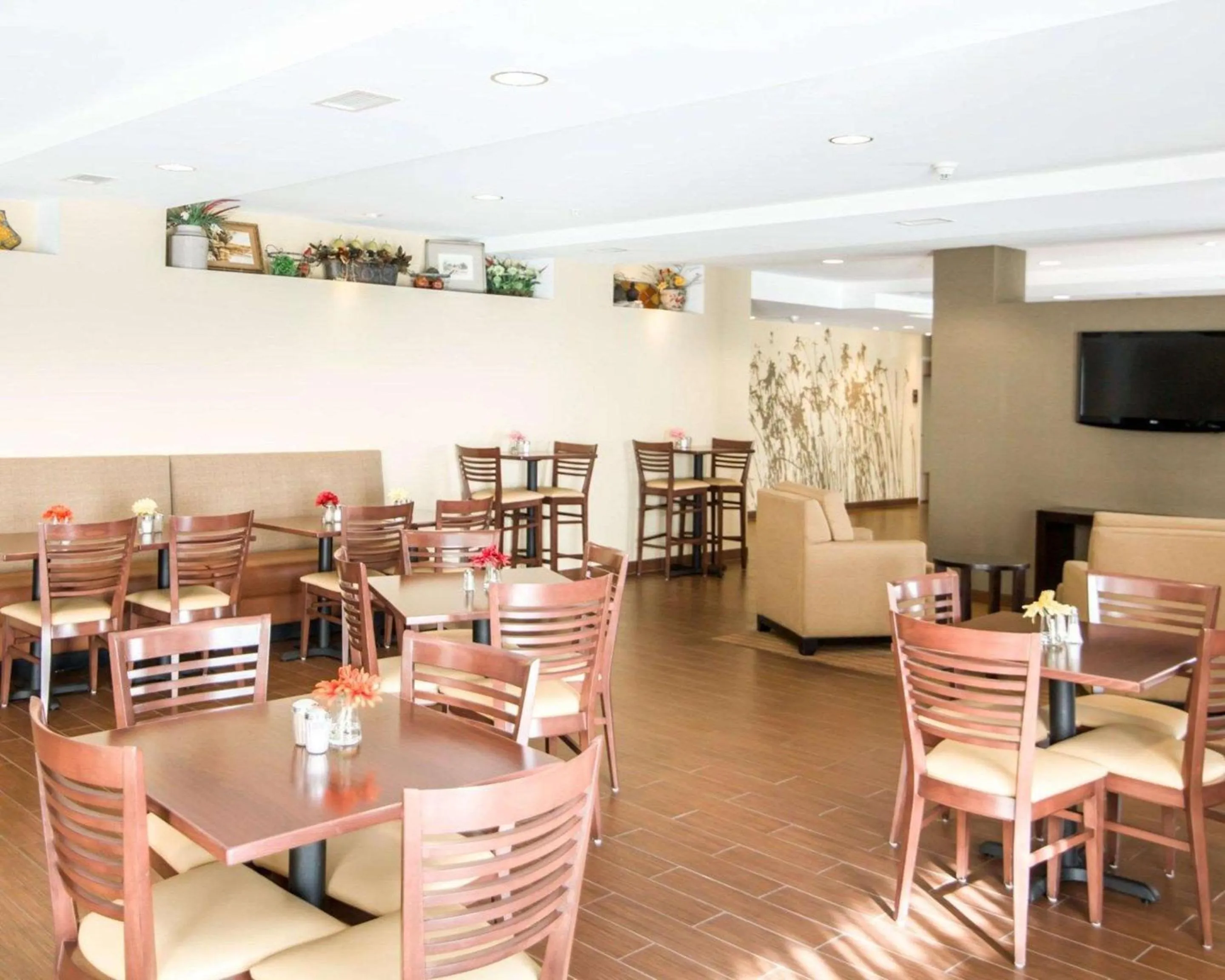 Restaurant/places to eat in Sleep Inn & Suites Norton