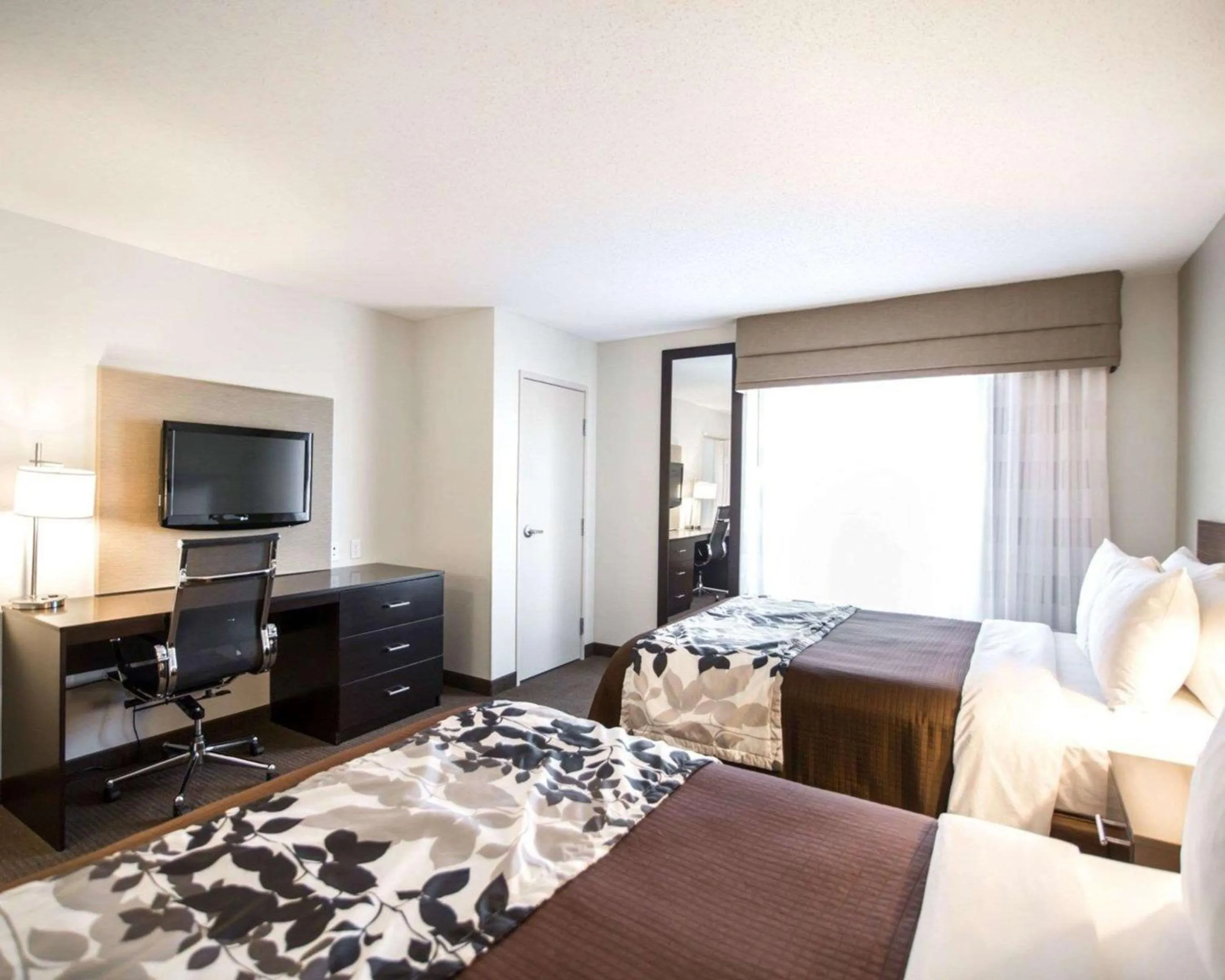 Photo of the whole room, Bed in Sleep Inn & Suites Norton