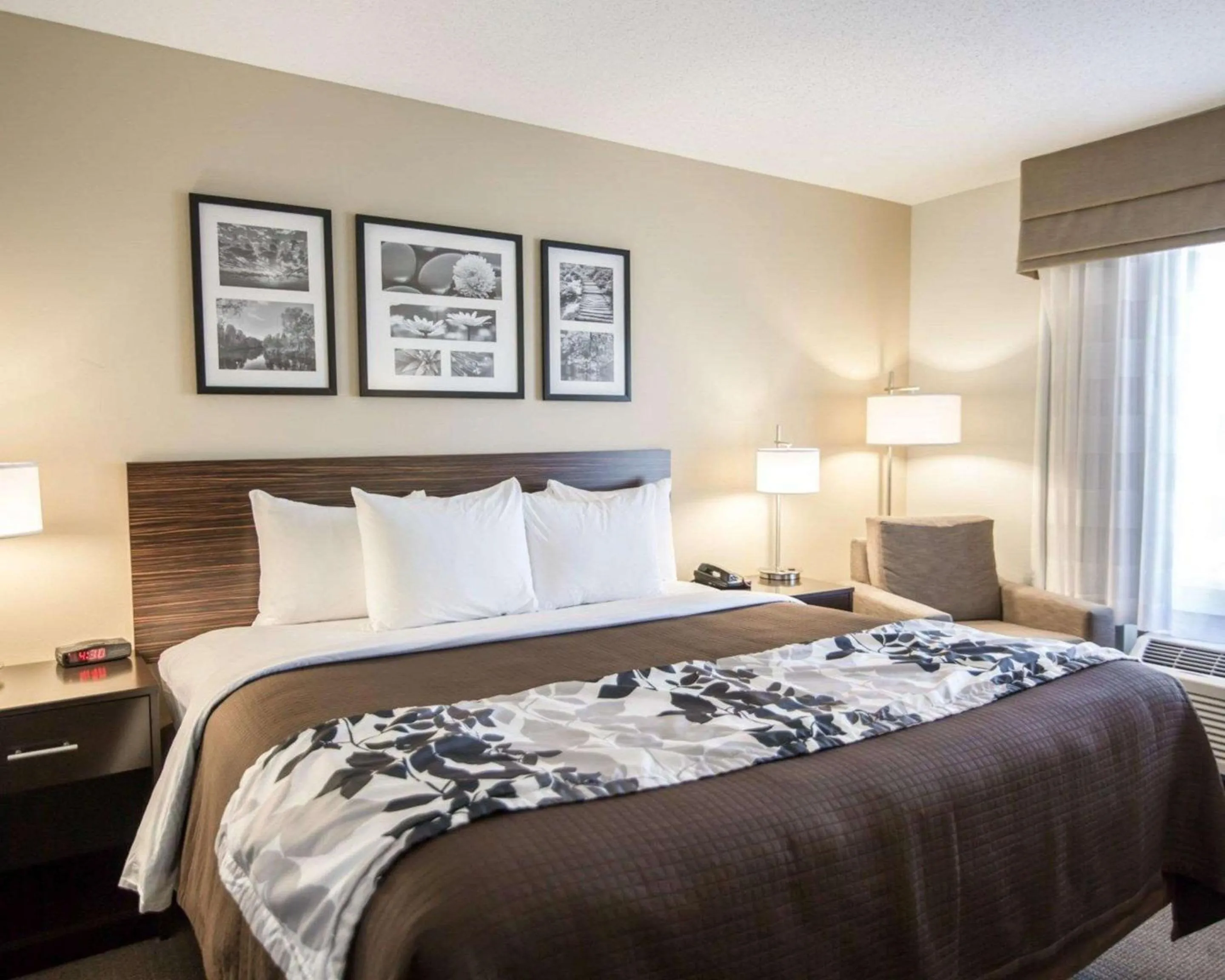 Photo of the whole room, Bed in Sleep Inn & Suites Norton