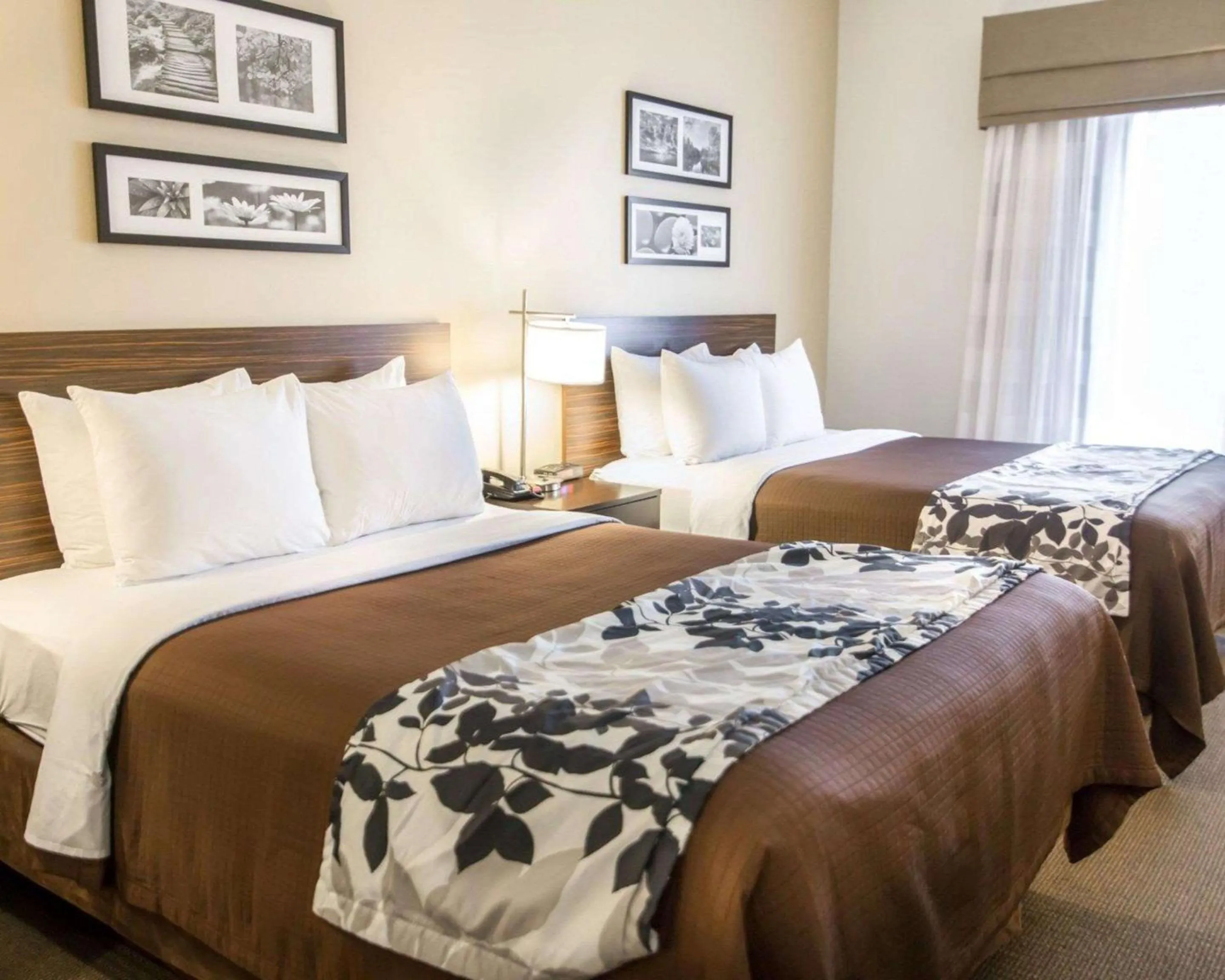 Photo of the whole room, Bed in Sleep Inn & Suites Norton