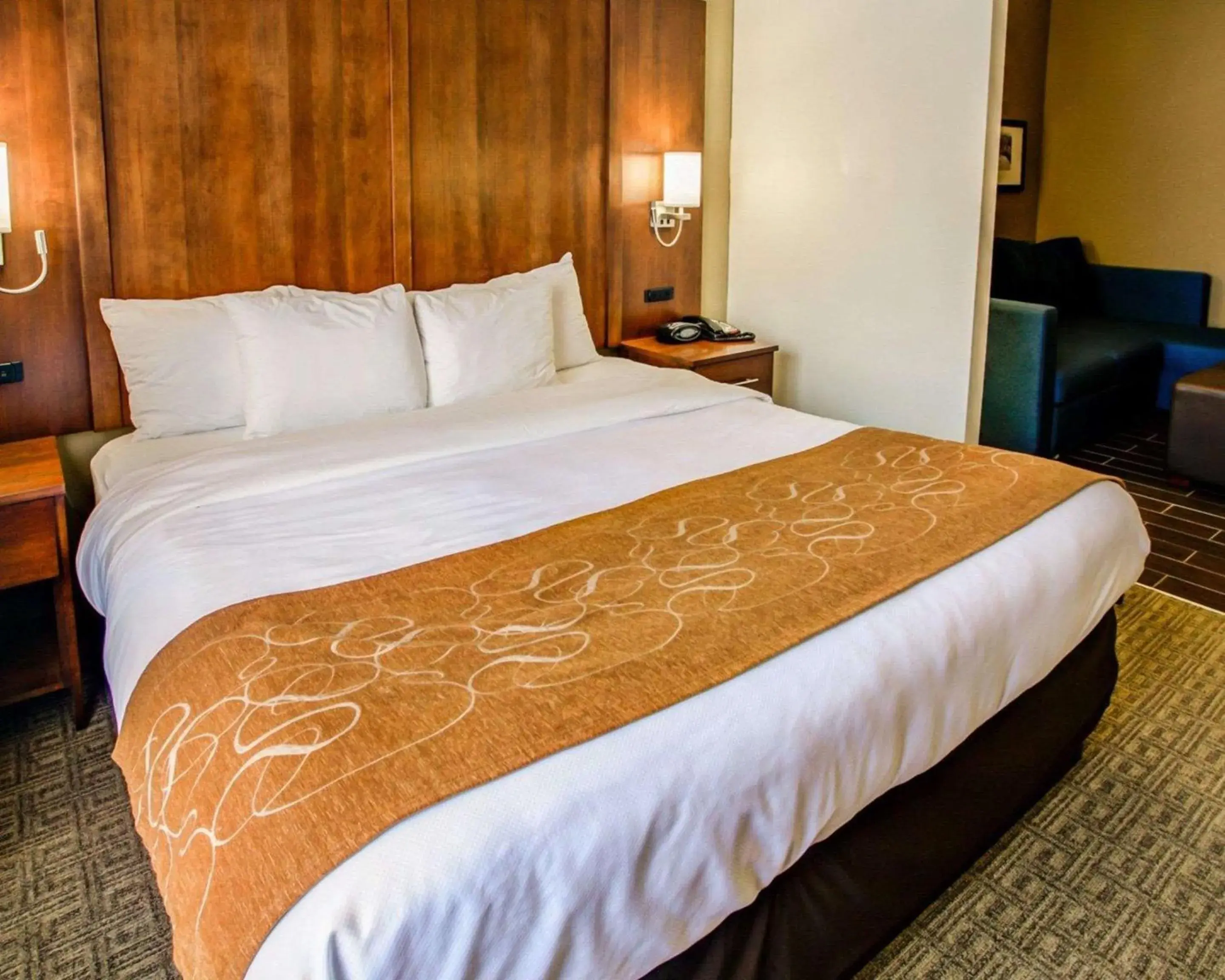 Photo of the whole room, Bed in Comfort Suites Georgetown Photo of the whole room, Bed in Comfort Suites Georgetown