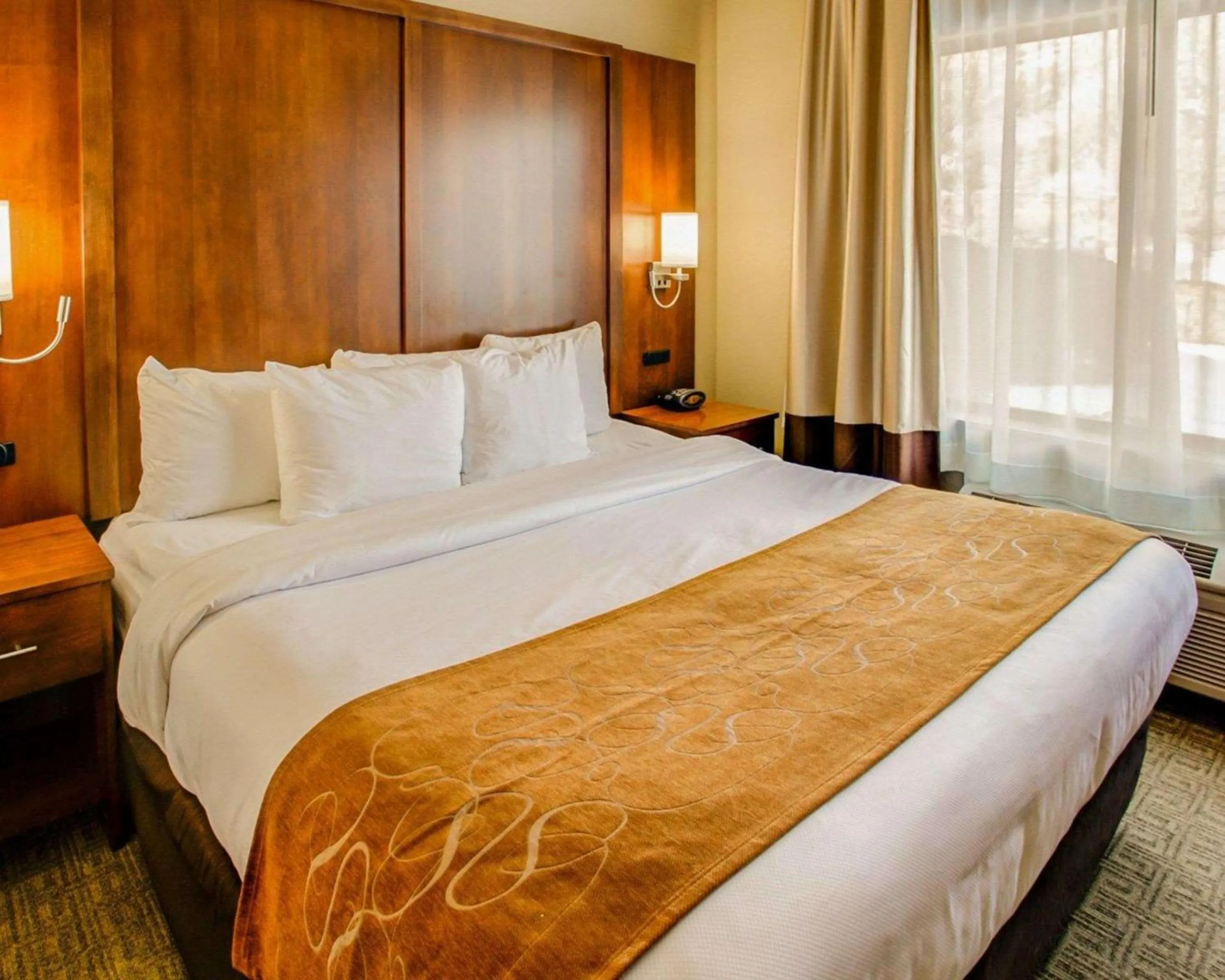 Photo of the whole room, Bed in Comfort Suites Georgetown