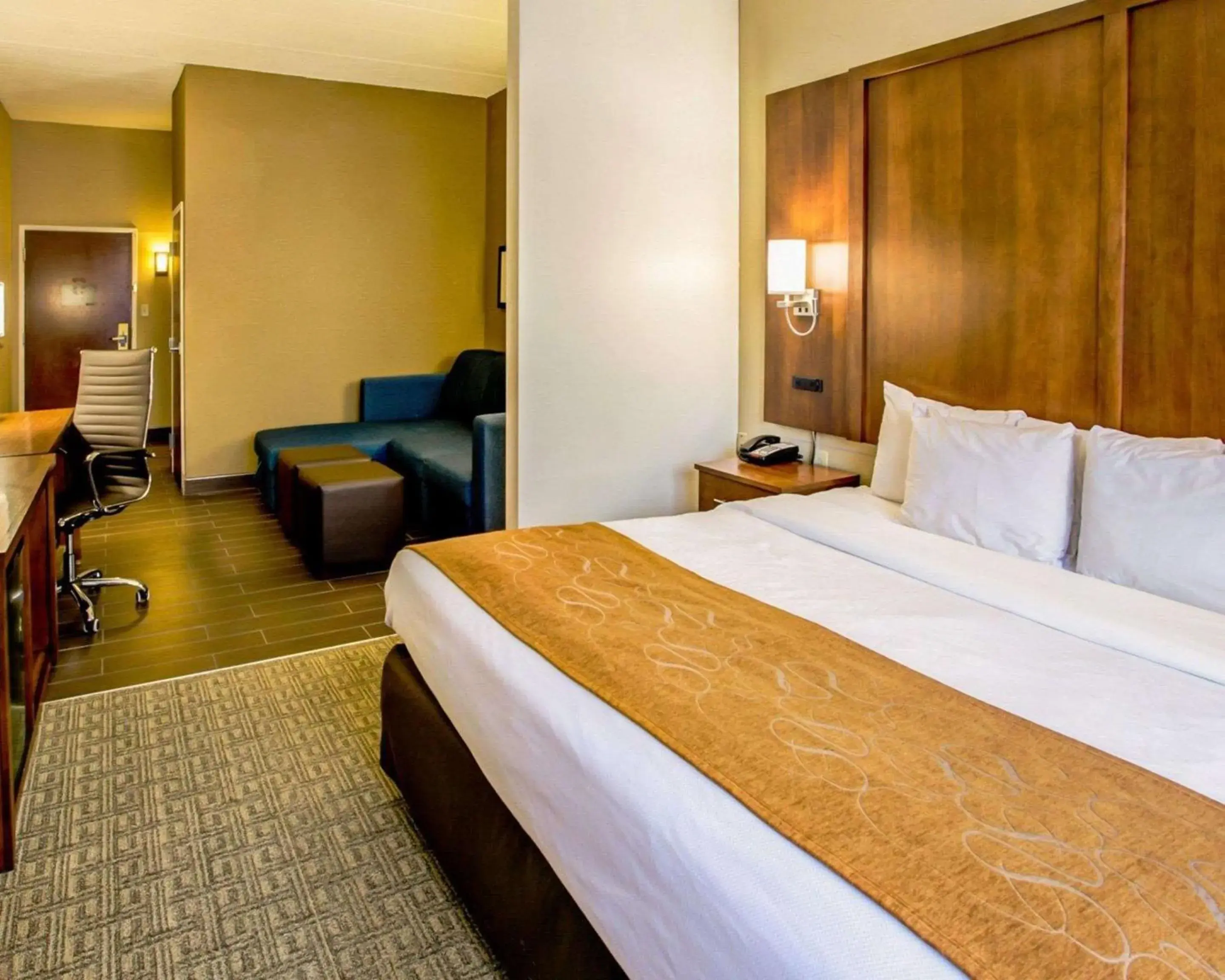 Photo of the whole room, Bed in Comfort Suites Georgetown Photo of the whole room, Bed in Comfort Suites Georgetown